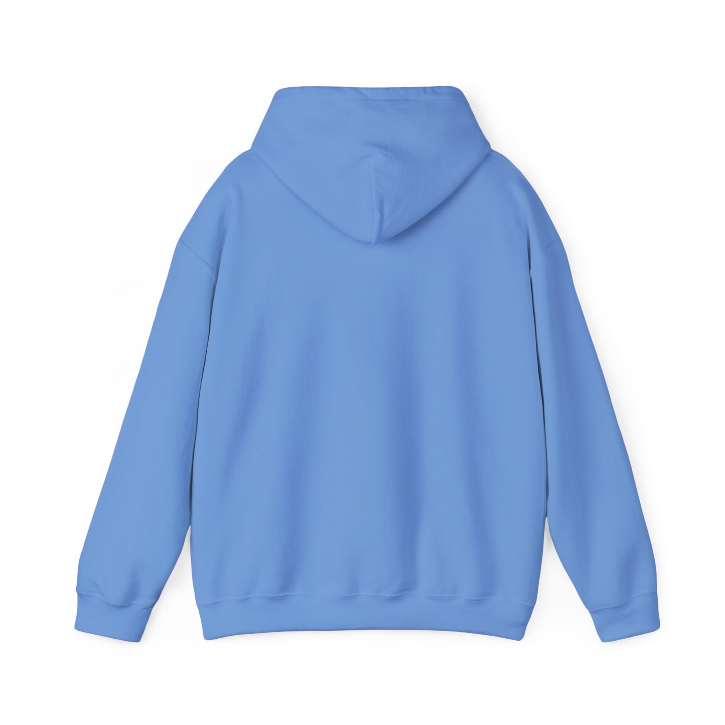 Welcome to the Sh*t Show Delco Hoodie