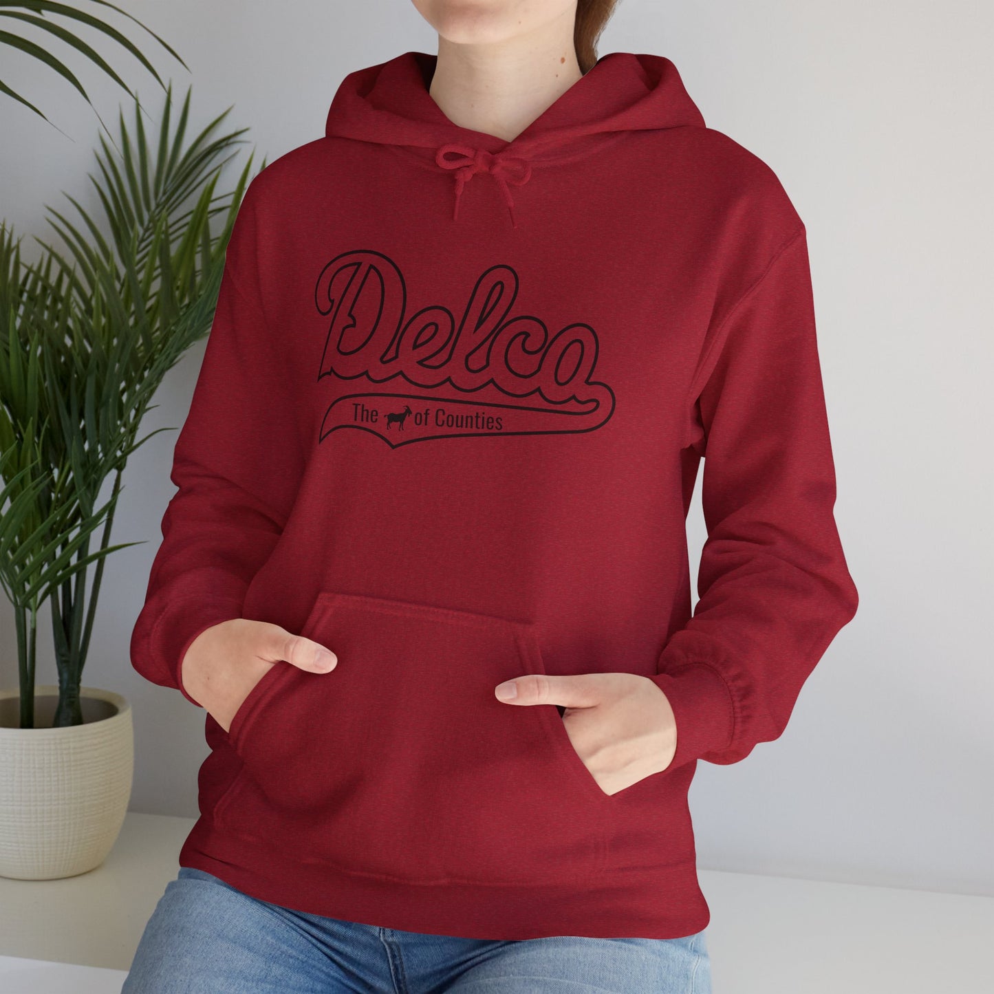 Goat of Counties Delco Hoodie