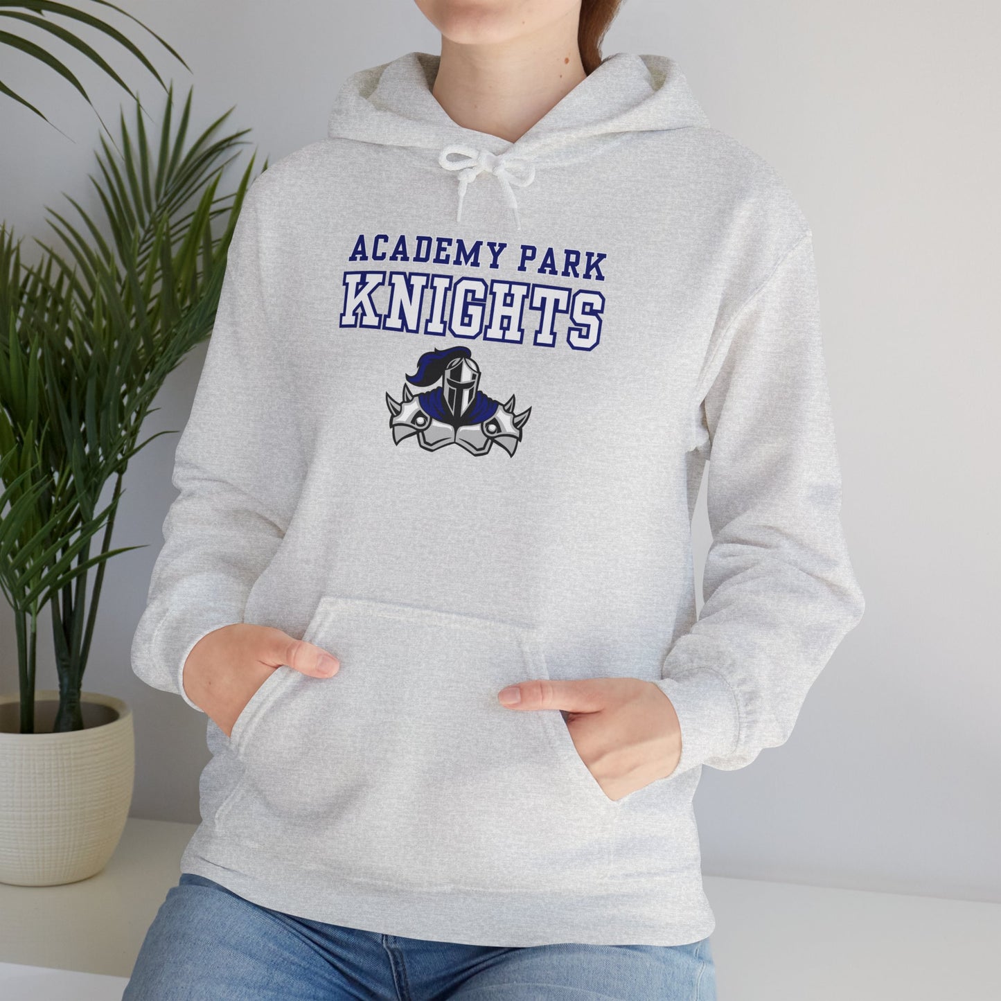 Academy Park Knights Hoodie