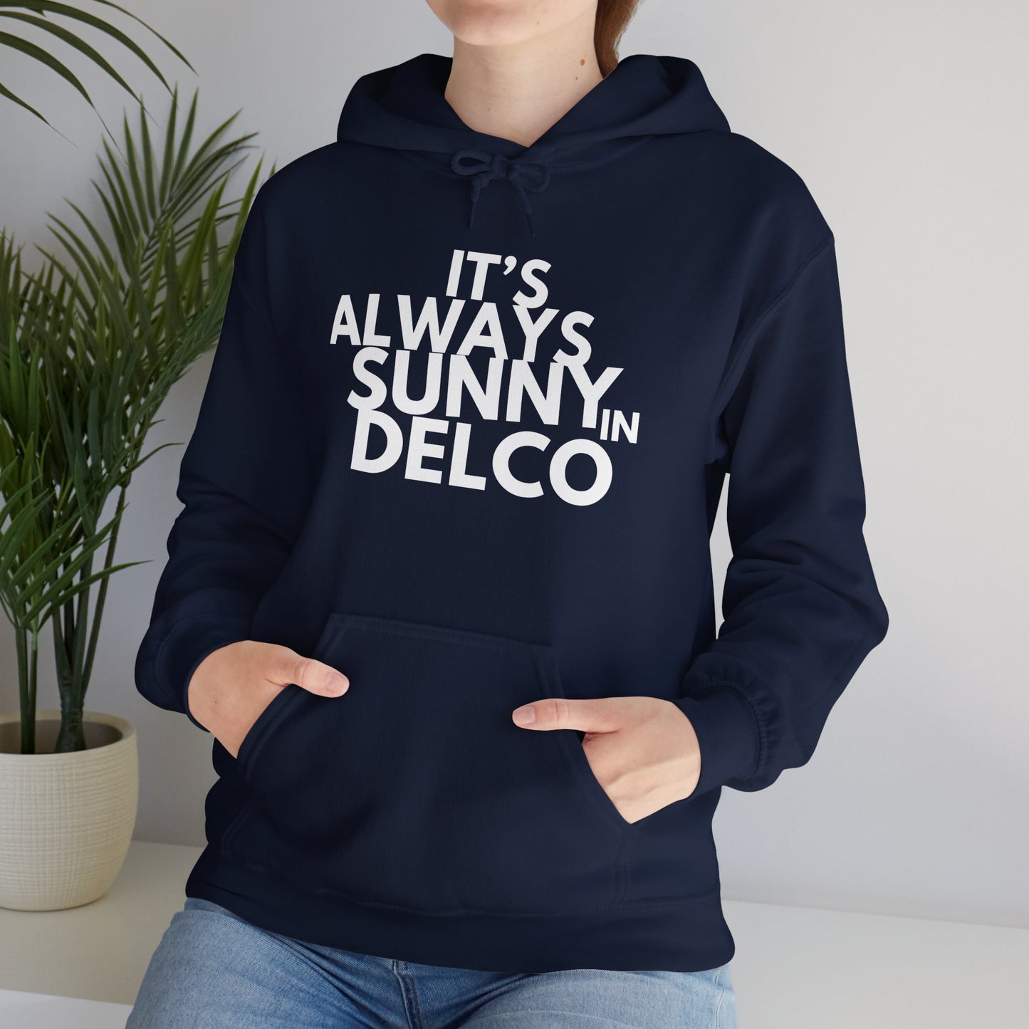 Always Sunny in Delco Hoodie