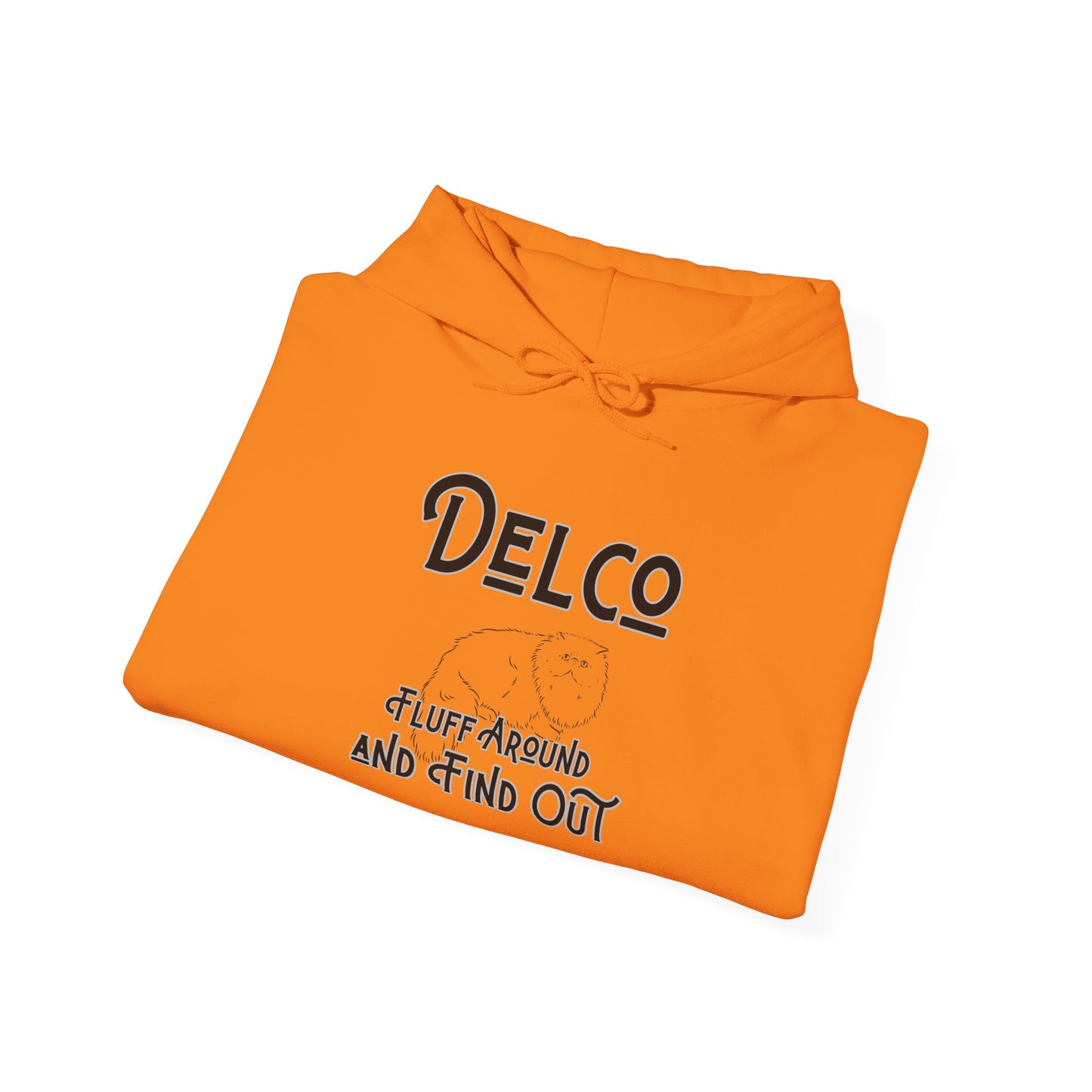 Fluff Around and Find Out Delco Hoodie