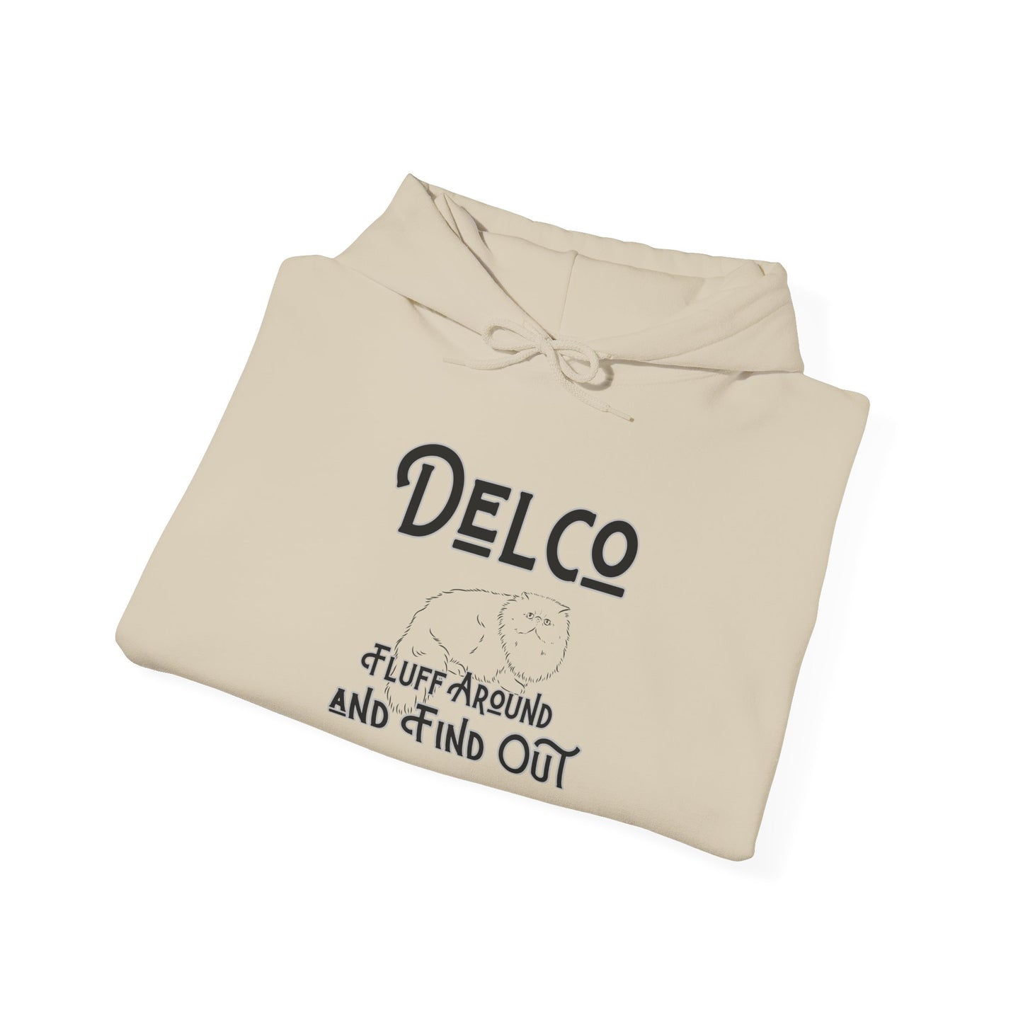 Fluff Around and Find Out Delco Hoodie