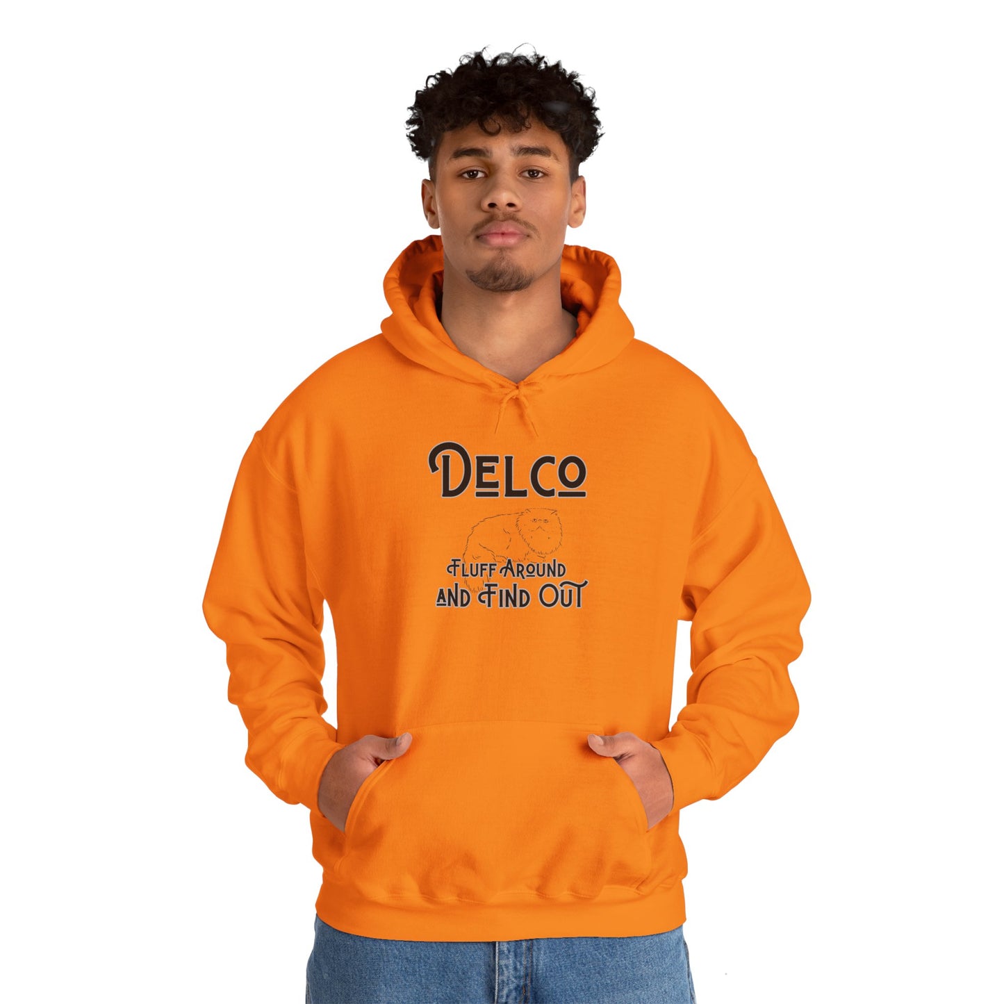 Fluff Around and Find Out Delco Hoodie