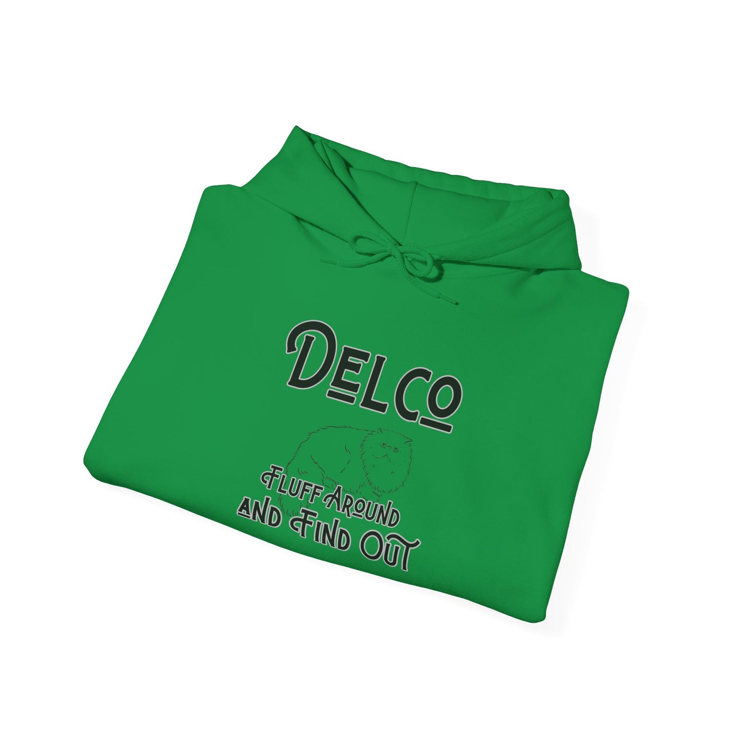 Fluff Around and Find Out Delco Hoodie