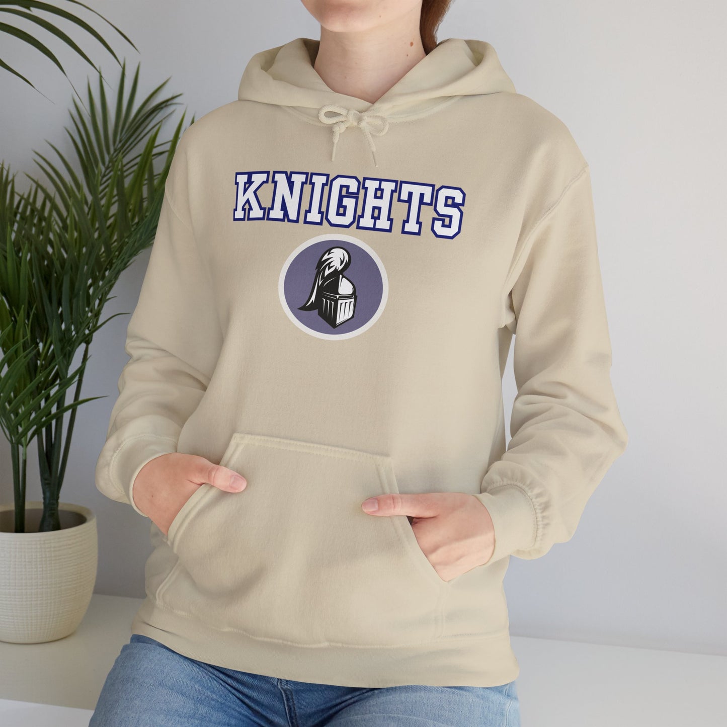 Academy Park Knights Hoodie