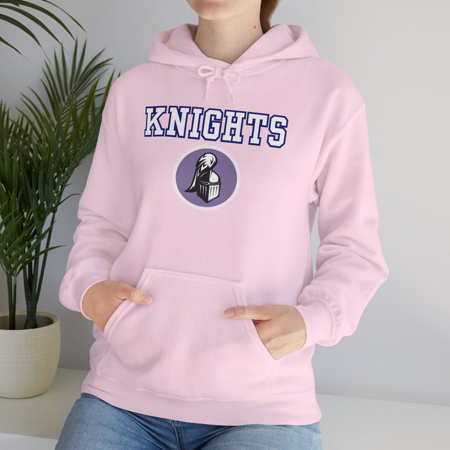 Academy Park Knights Hoodie