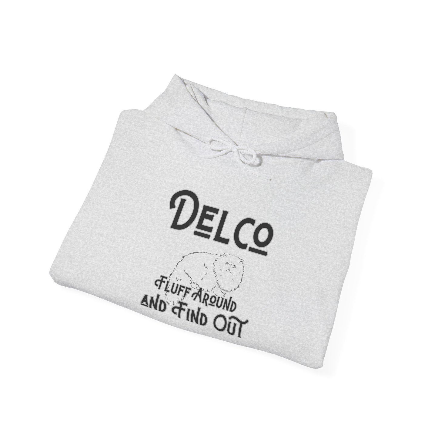 Fluff Around and Find Out Delco Hoodie