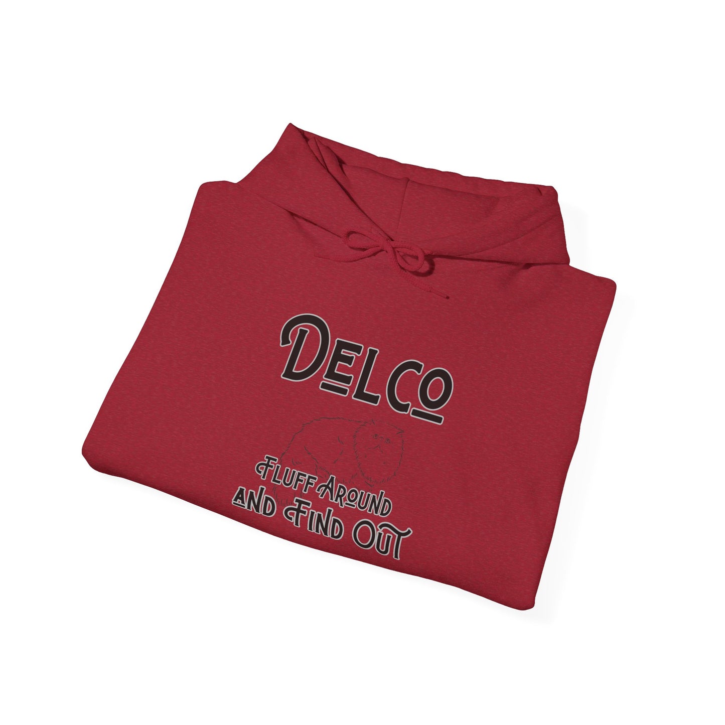 Fluff Around and Find Out Delco Hoodie