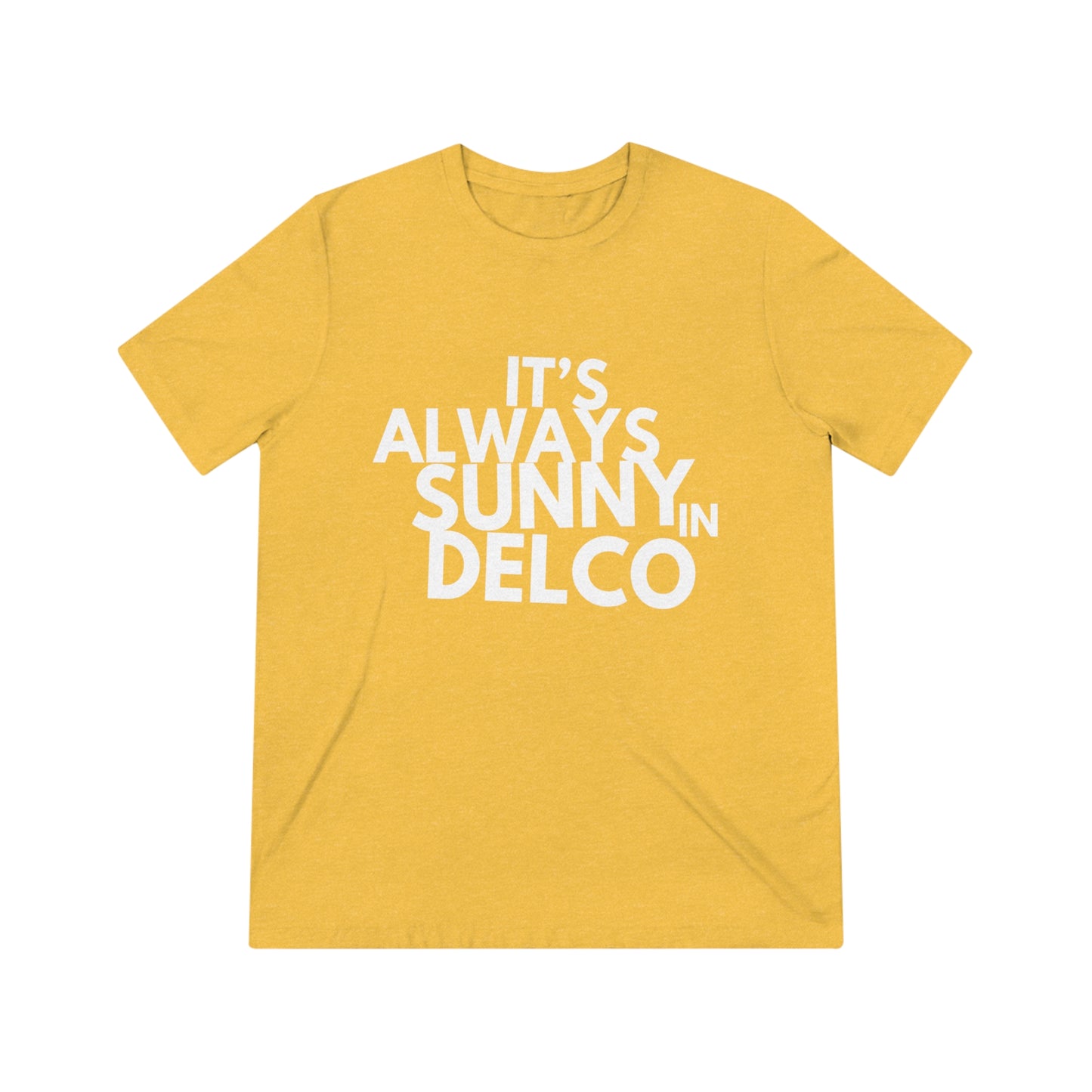 Its Always Sunny in Delco Tshirt
