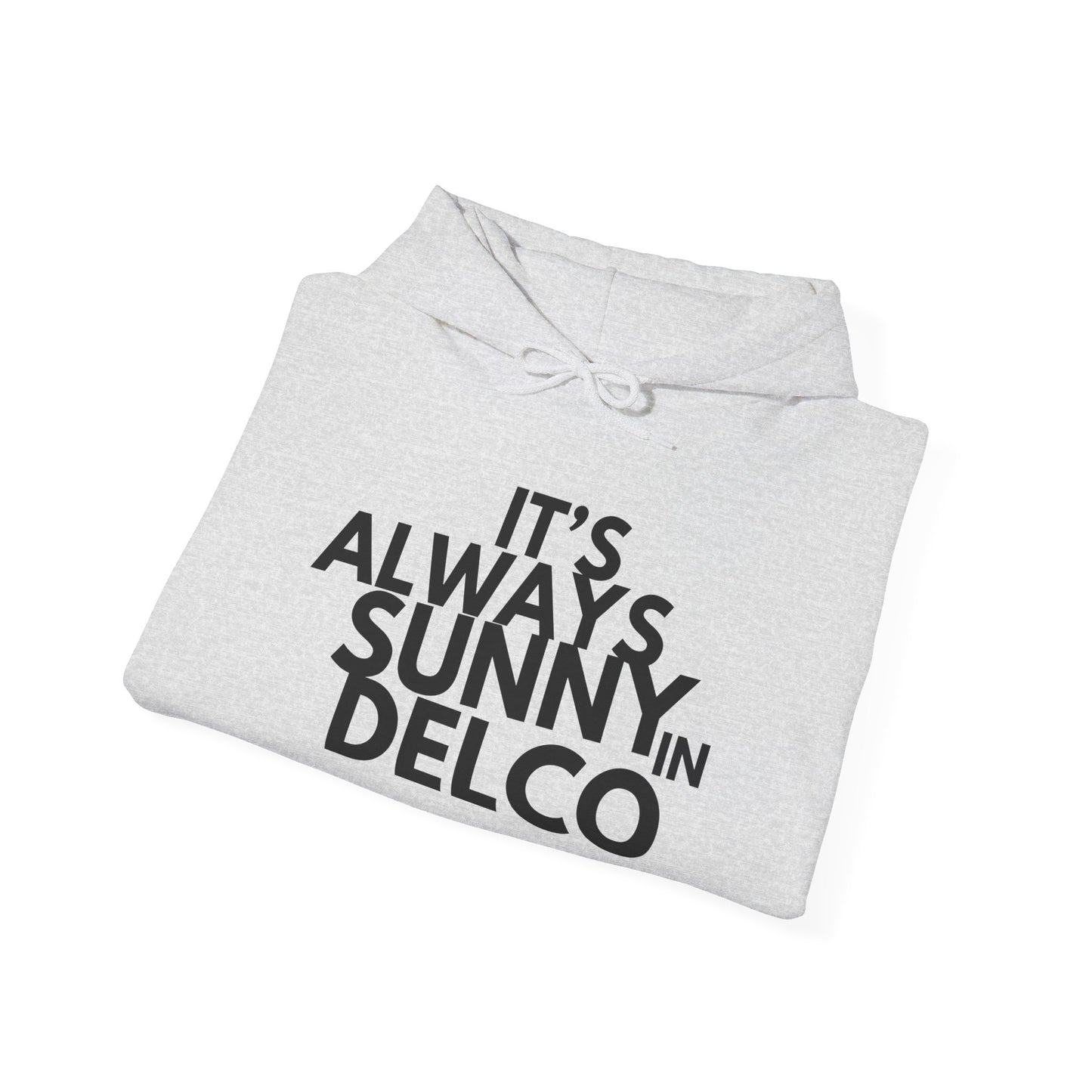 Always Sunny in Delco Hoodie