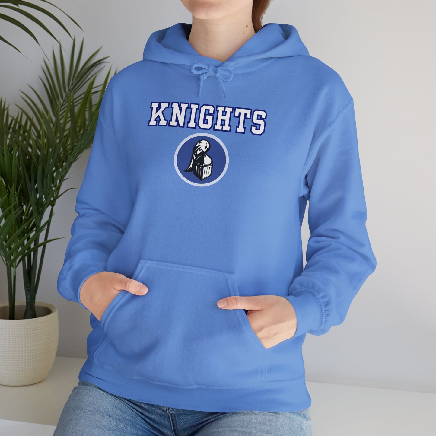 Academy Park Knights Hoodie
