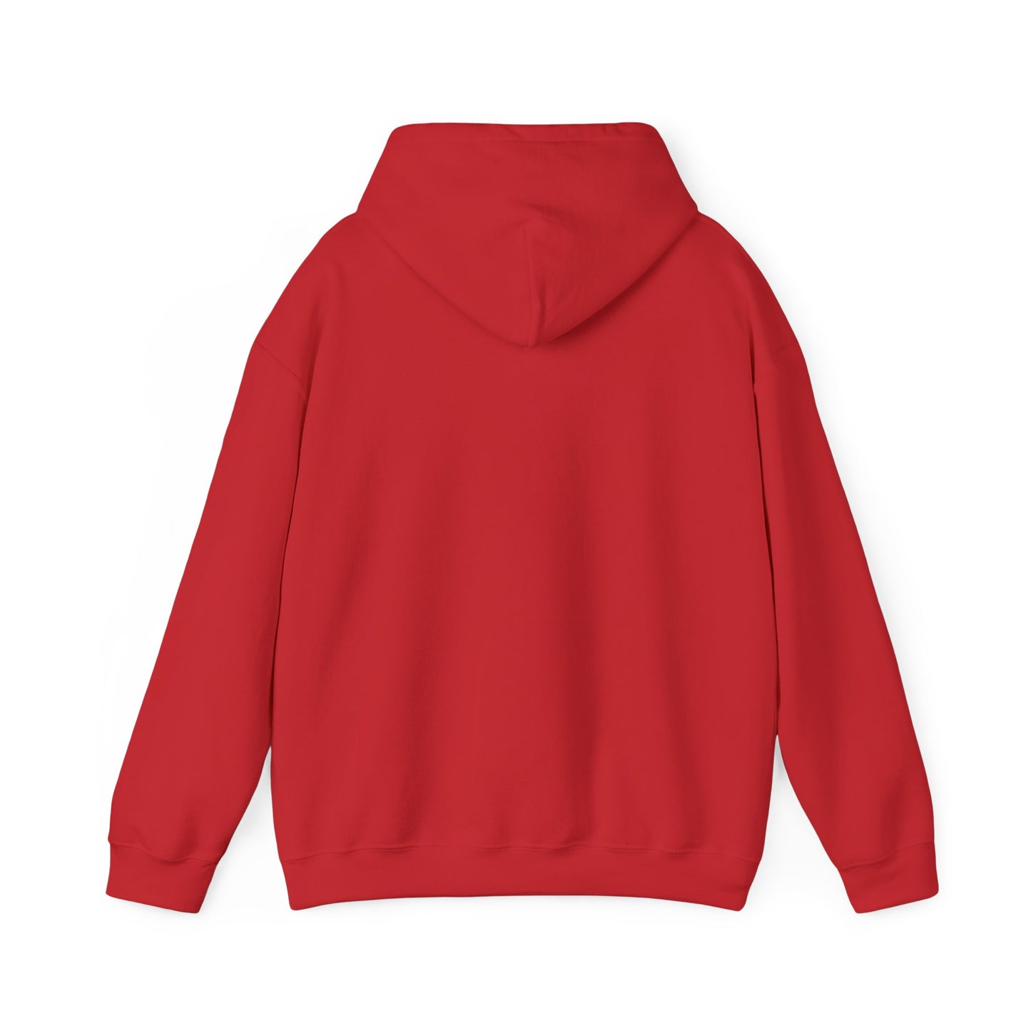 Welcome to the Sh*t Show Delco Hoodie