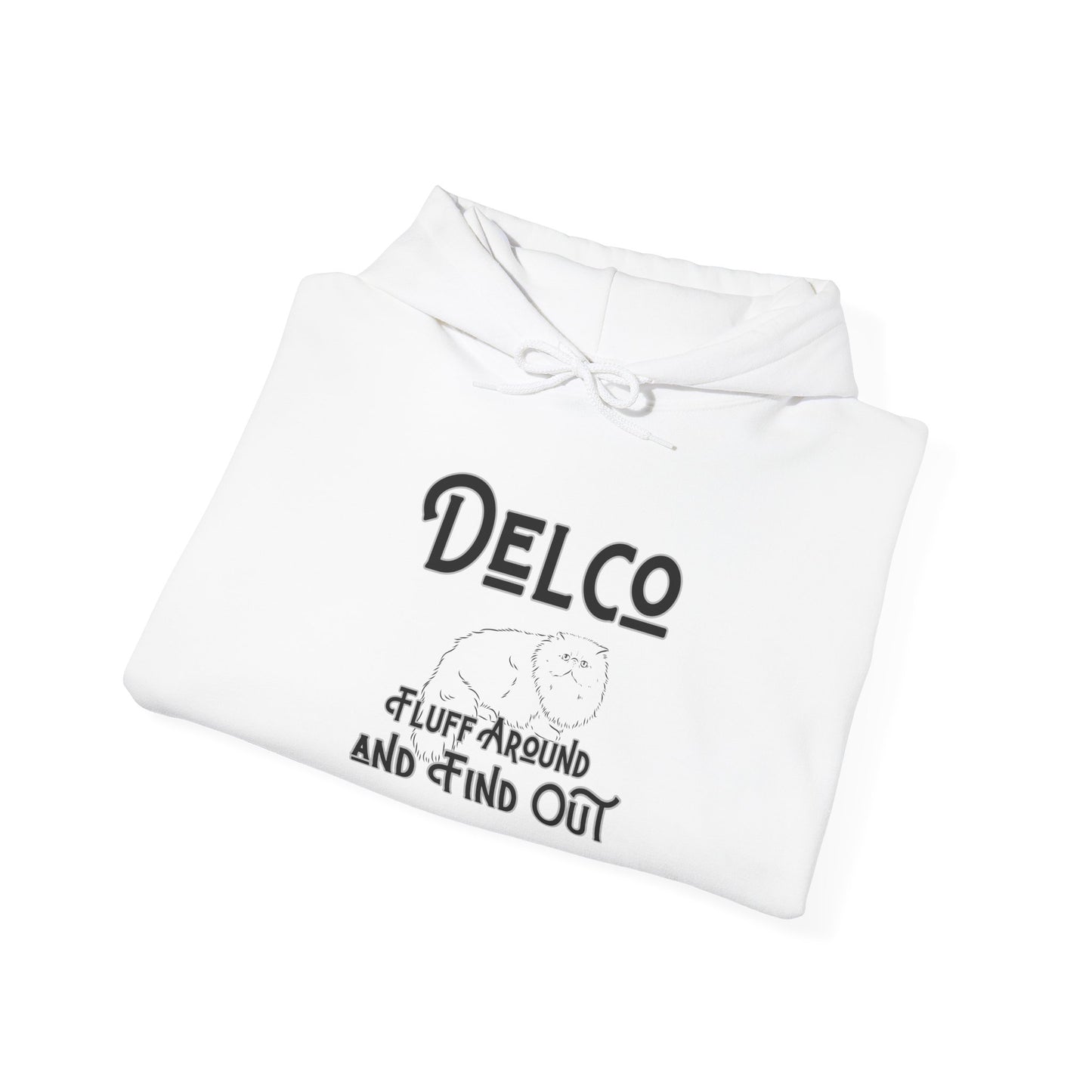 Fluff Around and Find Out Delco Hoodie