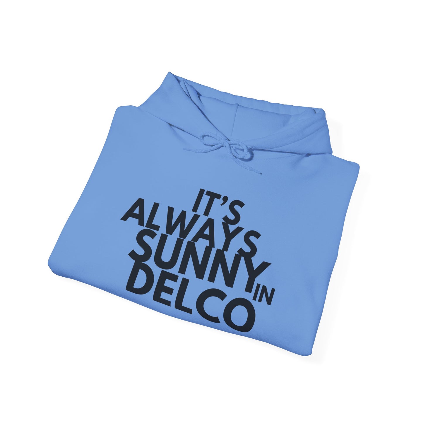 Always Sunny in Delco Hoodie