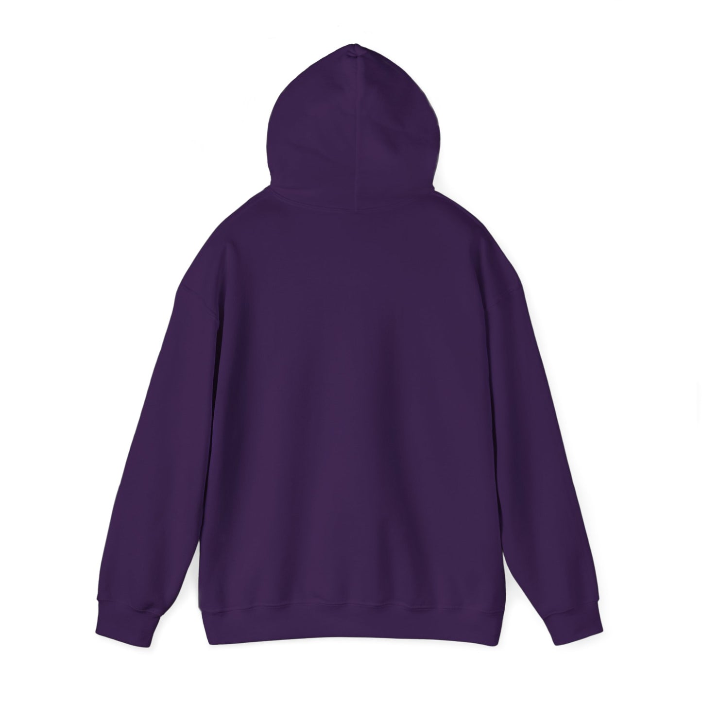 Street Connect Delco Hoodie