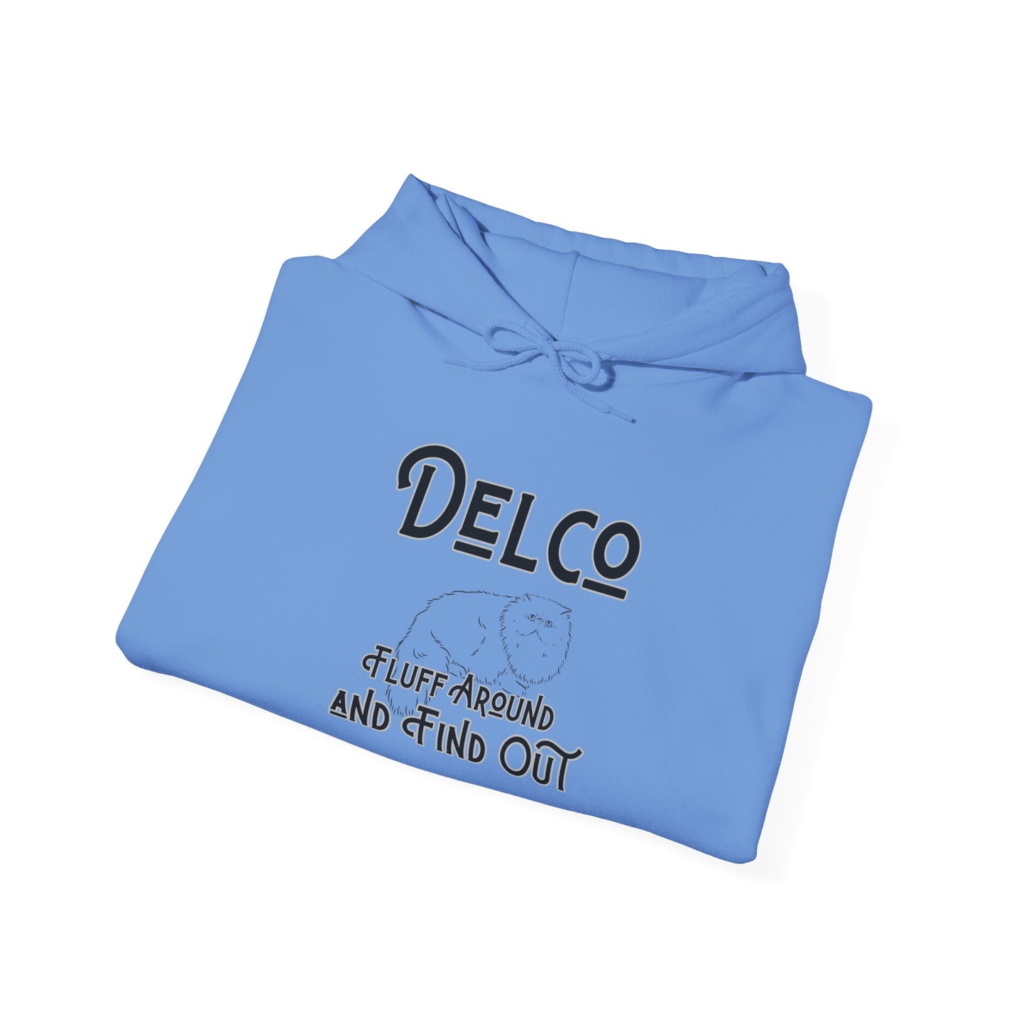 Fluff Around and Find Out Delco Hoodie