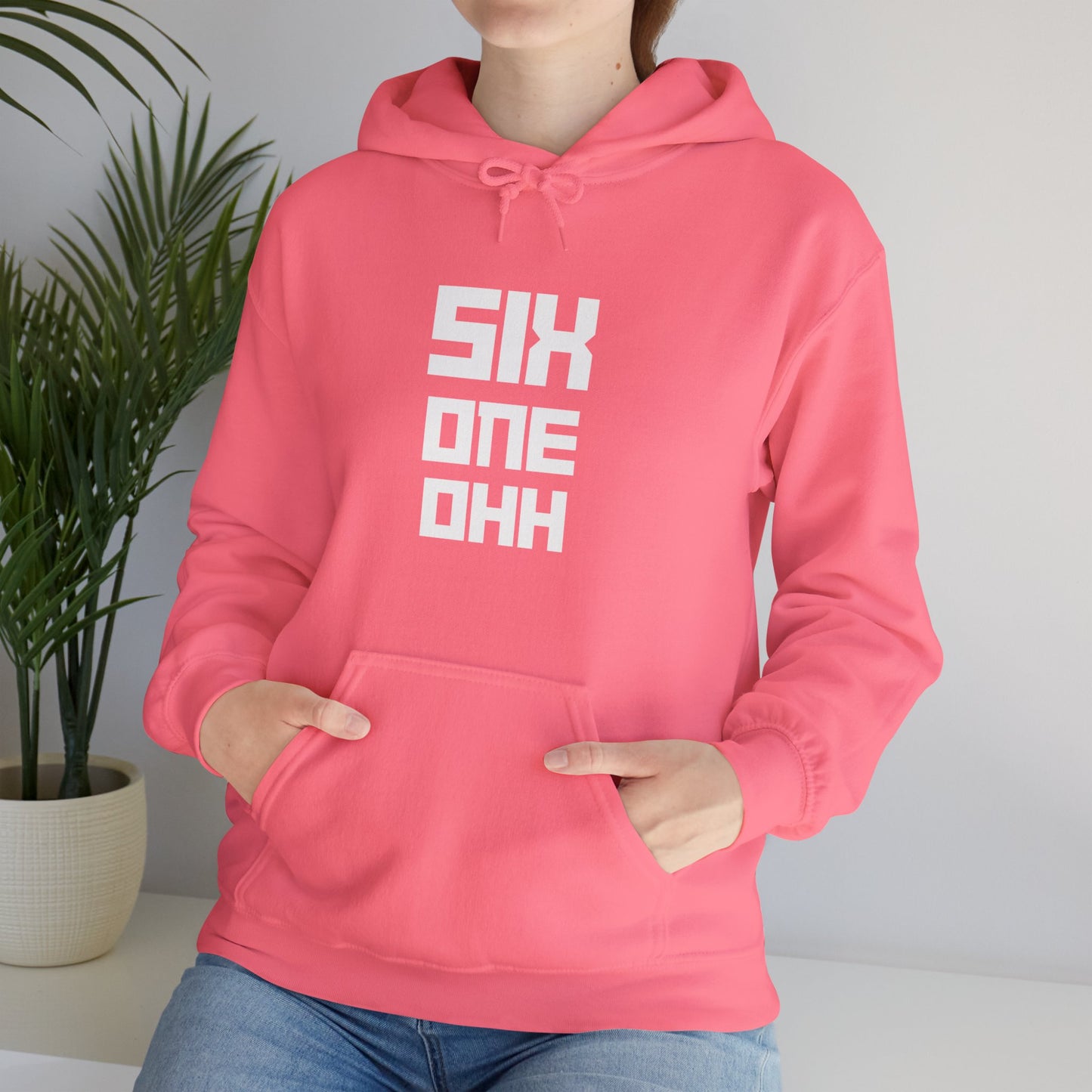 Six One Ohh Delco Hoodie