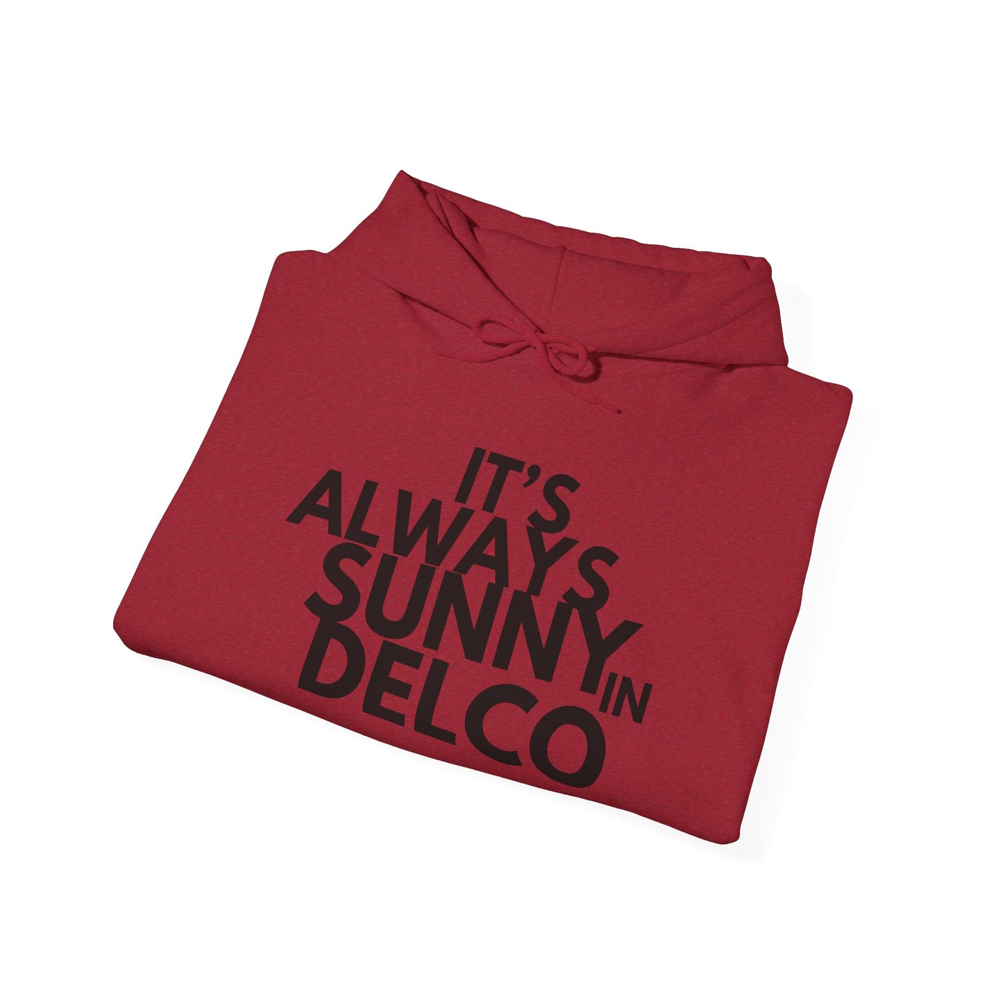 Always Sunny in Delco Hoodie