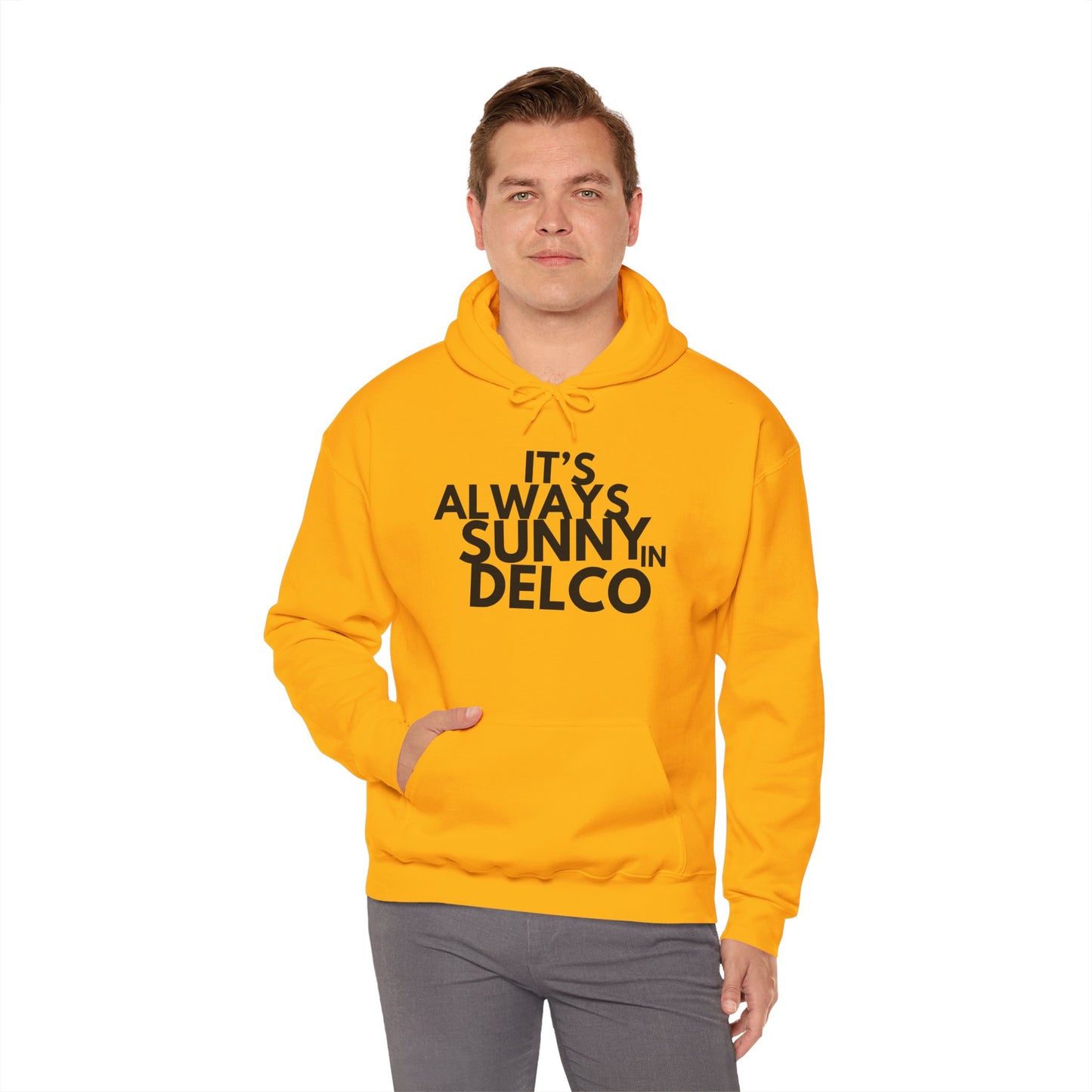 Always Sunny in Delco Hoodie