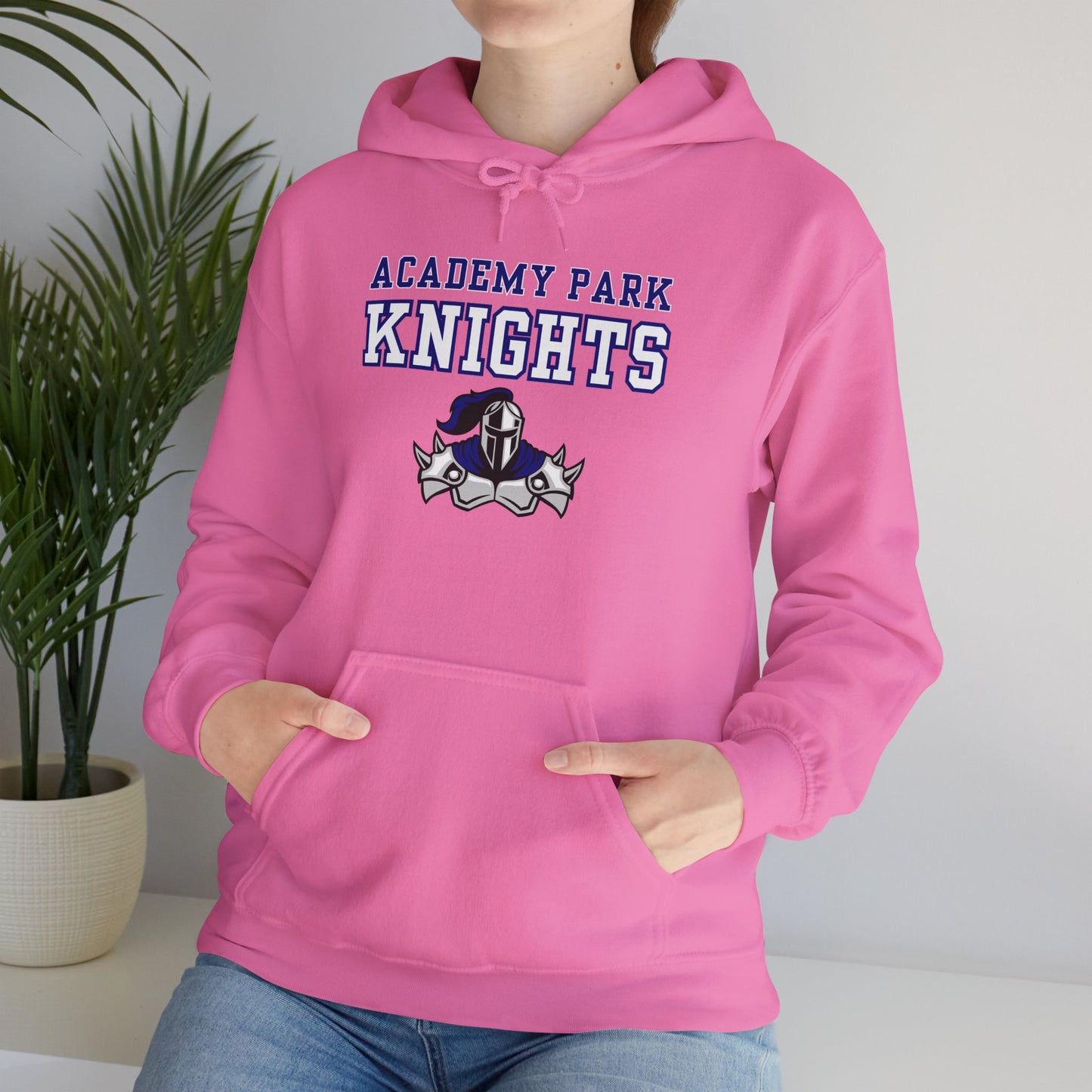 Academy Park Knights Hoodie