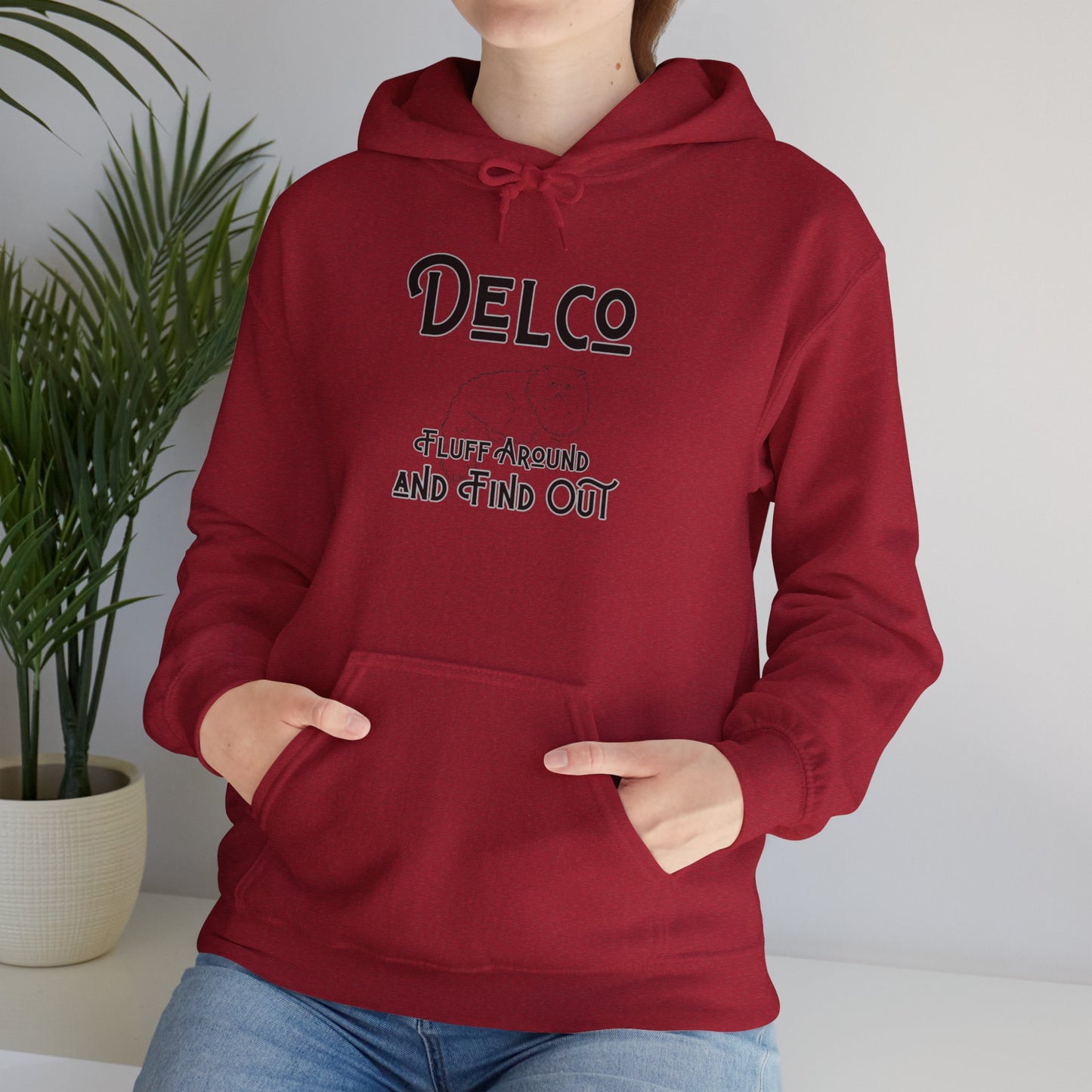 Fluff Around and Find Out Delco Hoodie