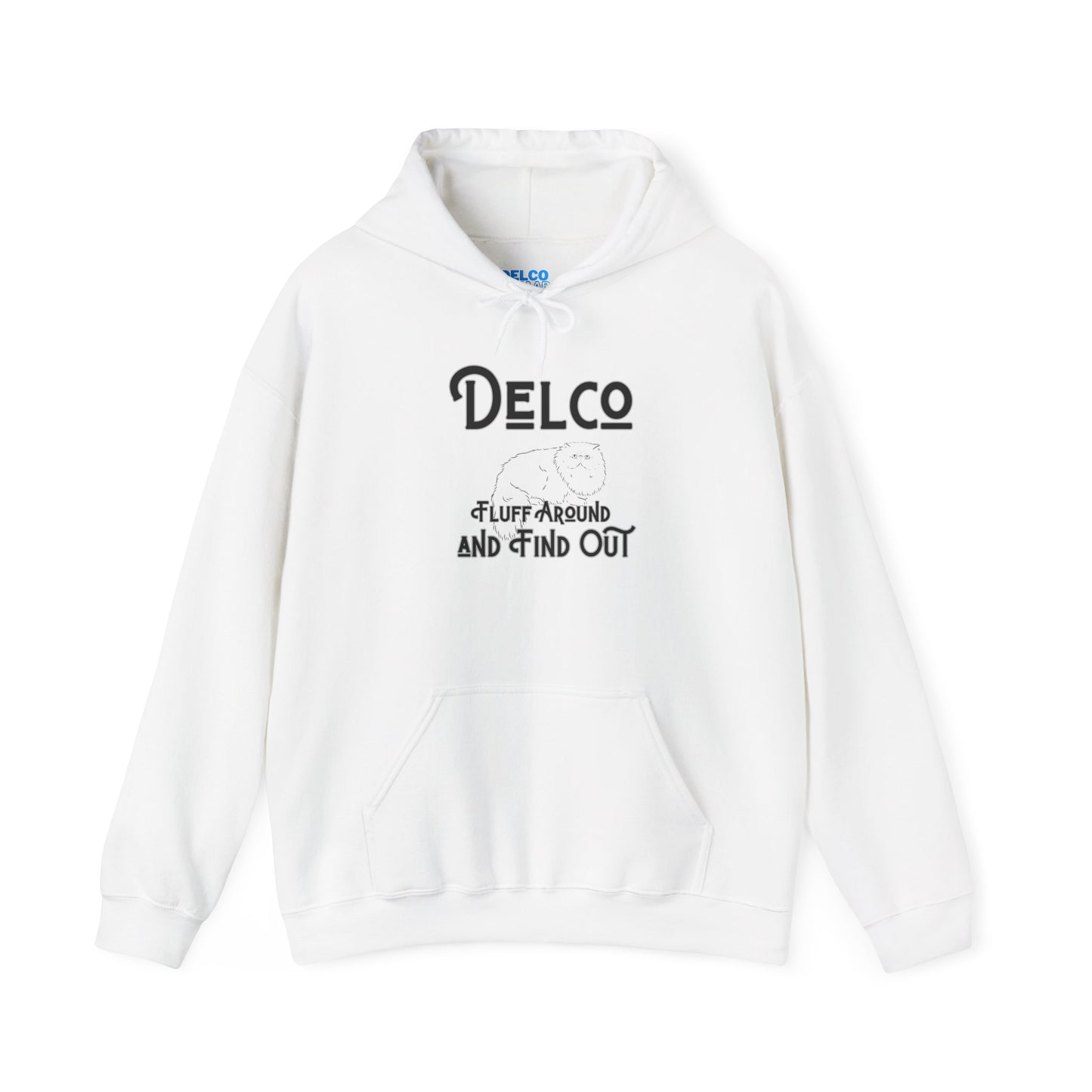 Fluff Around and Find Out Delco Hoodie