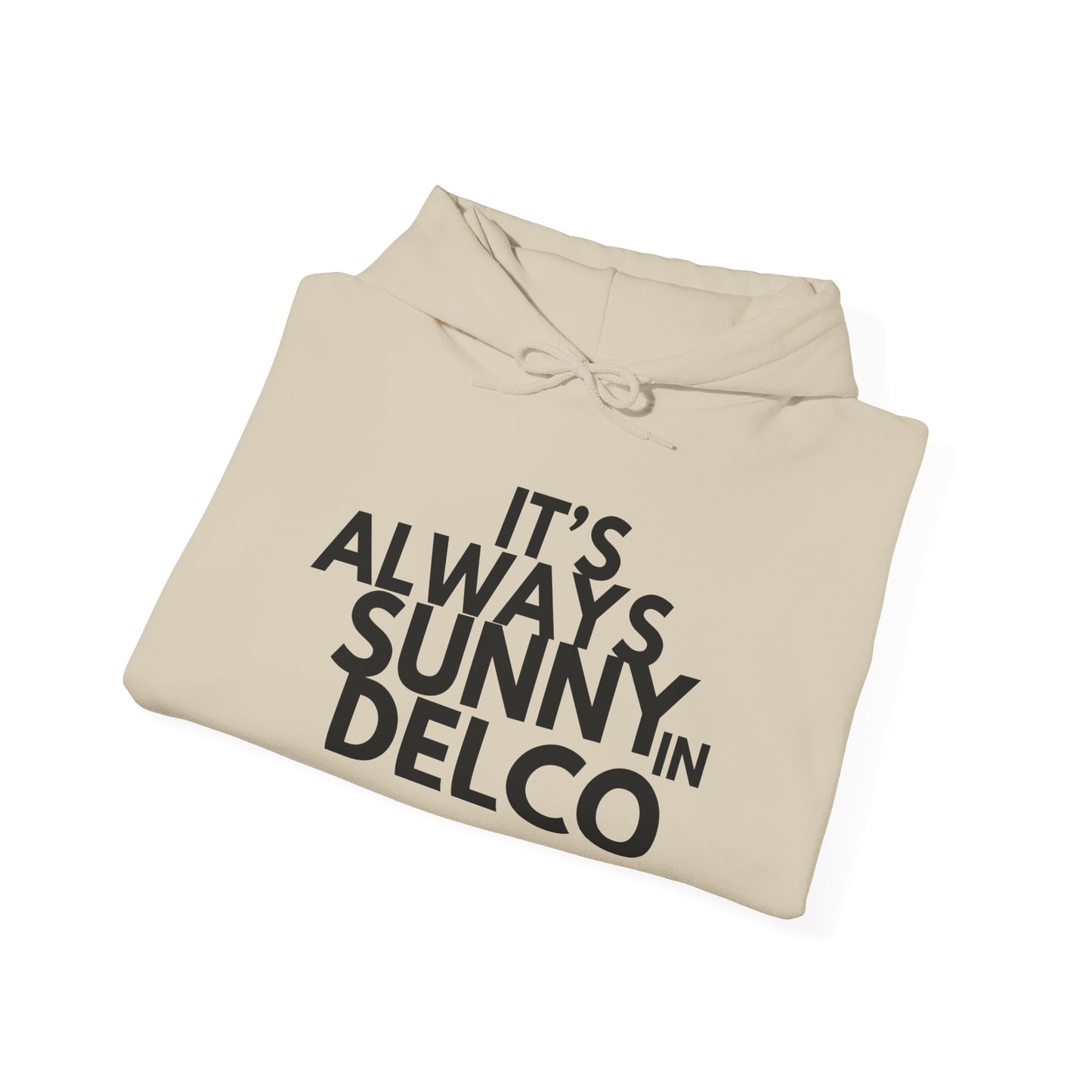 Always Sunny in Delco Hoodie