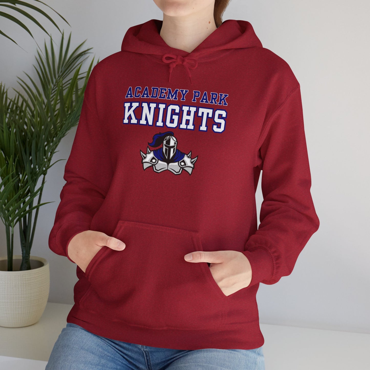 Academy Park Knights Hoodie
