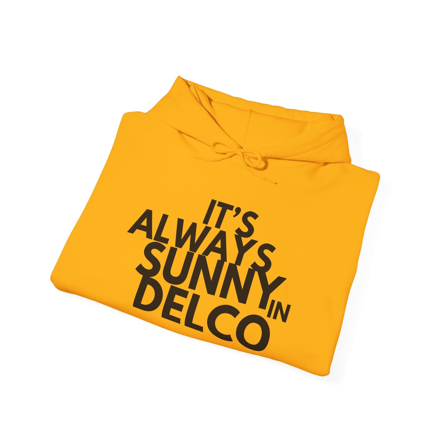 Always Sunny in Delco Hoodie