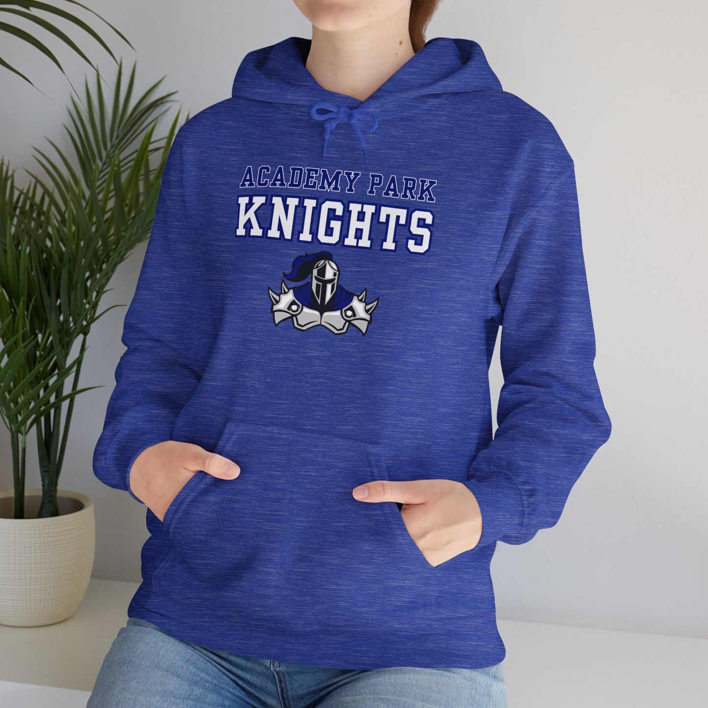 Academy Park Knights Hoodie