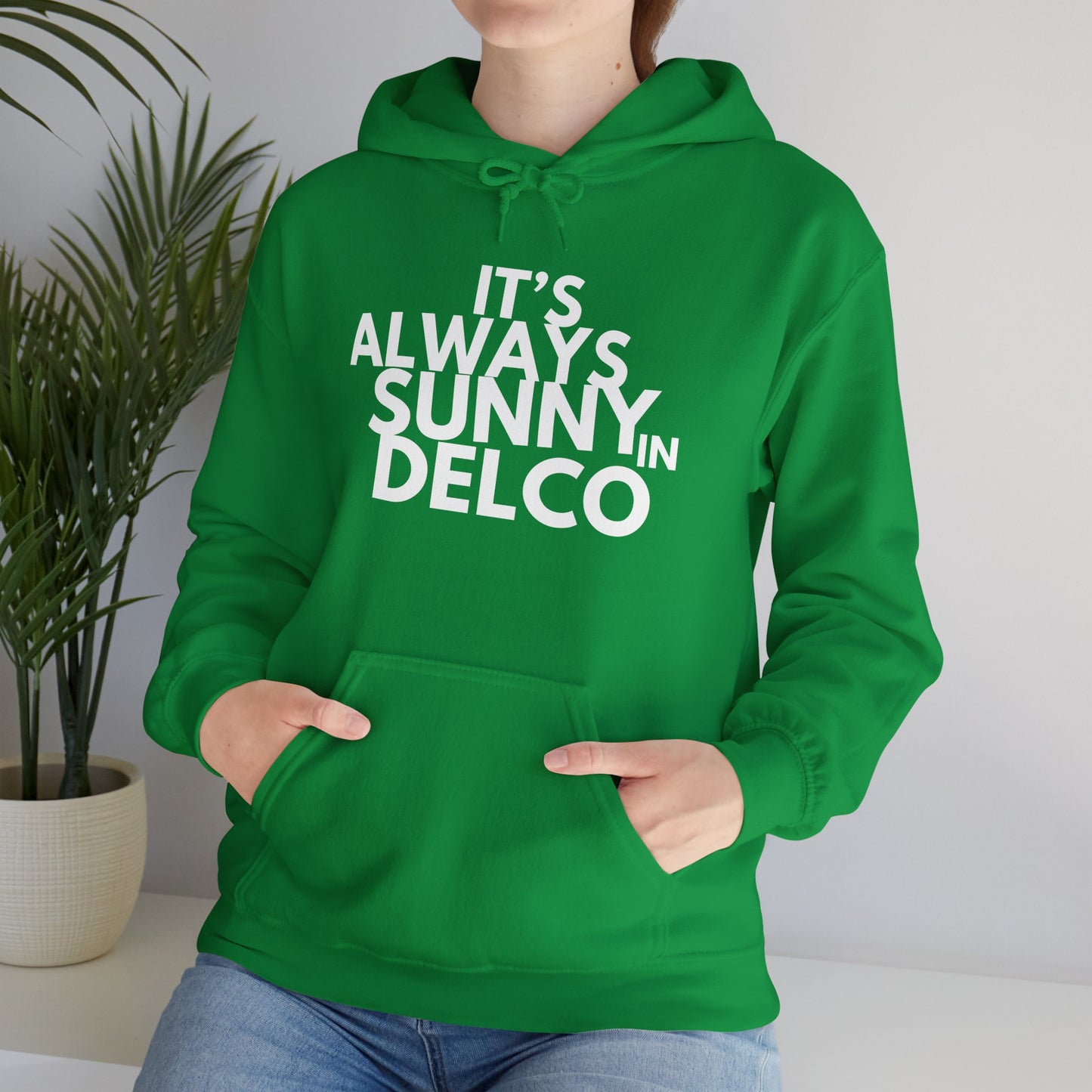Always Sunny in Delco Hoodie
