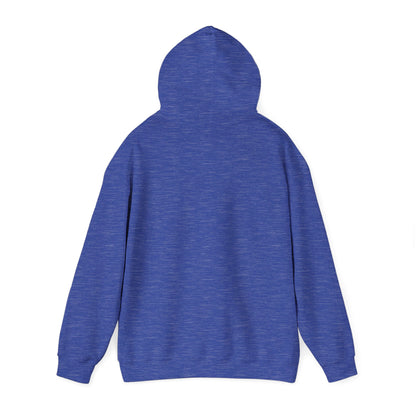 Six One Ohh Delco Hoodie