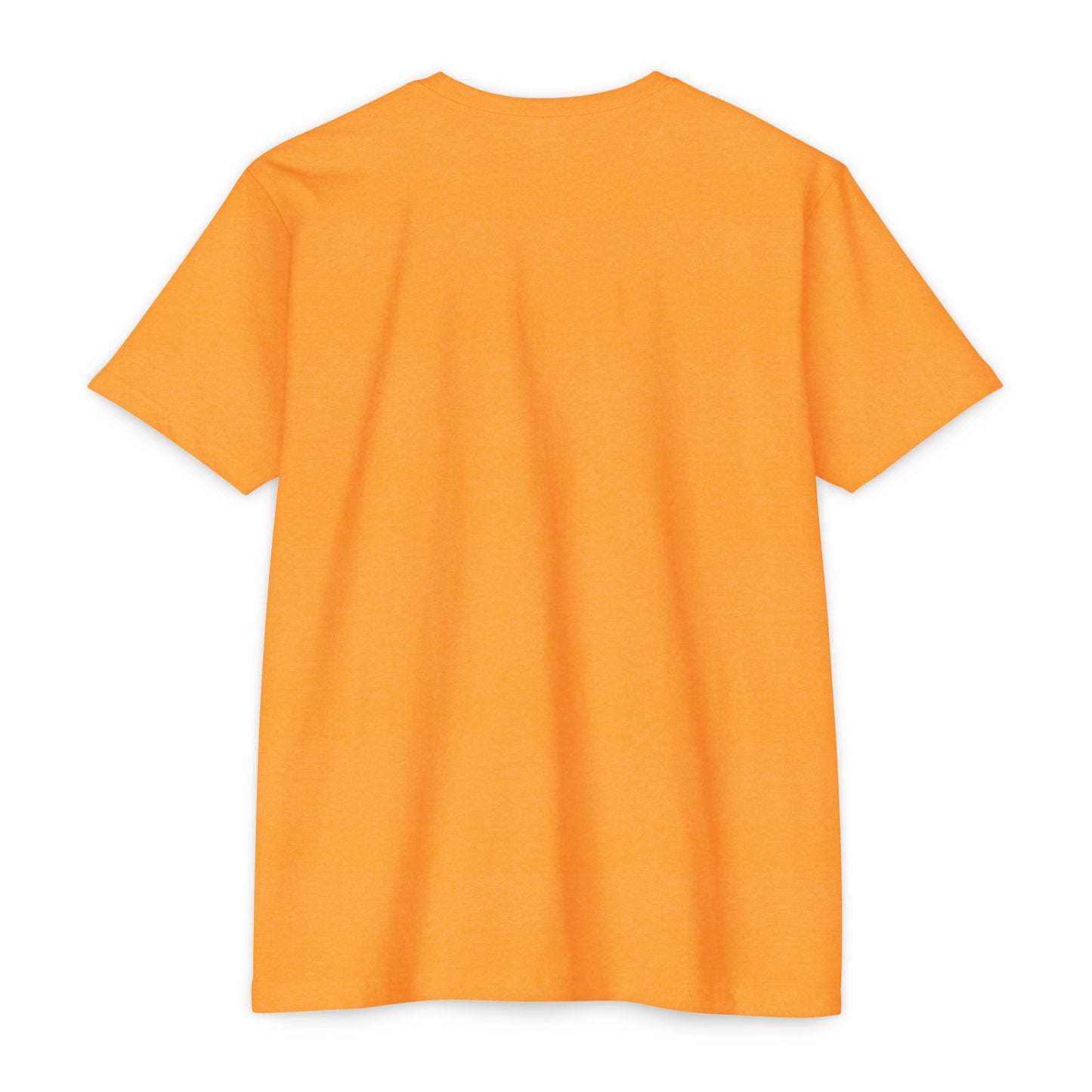 Stronger Together Delco CVC T-shirt