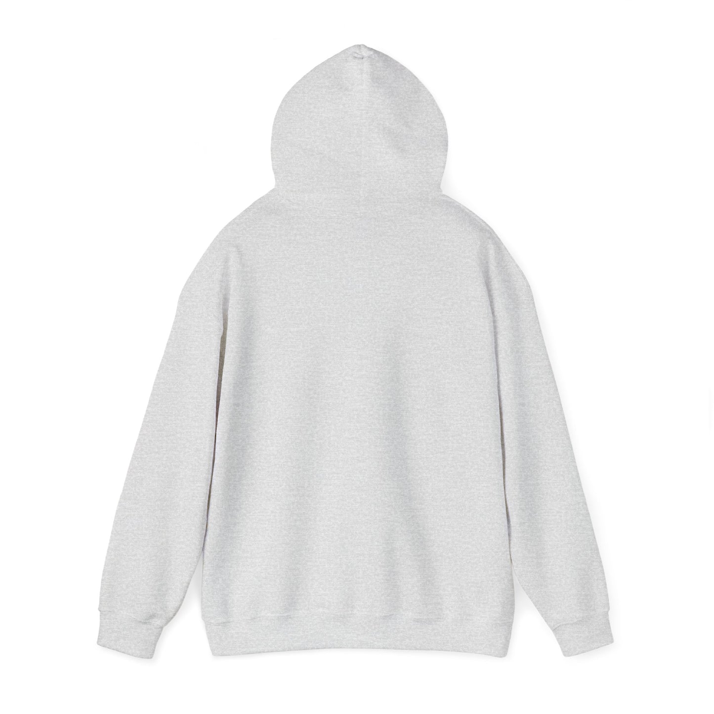 Barts Delco Hoodie