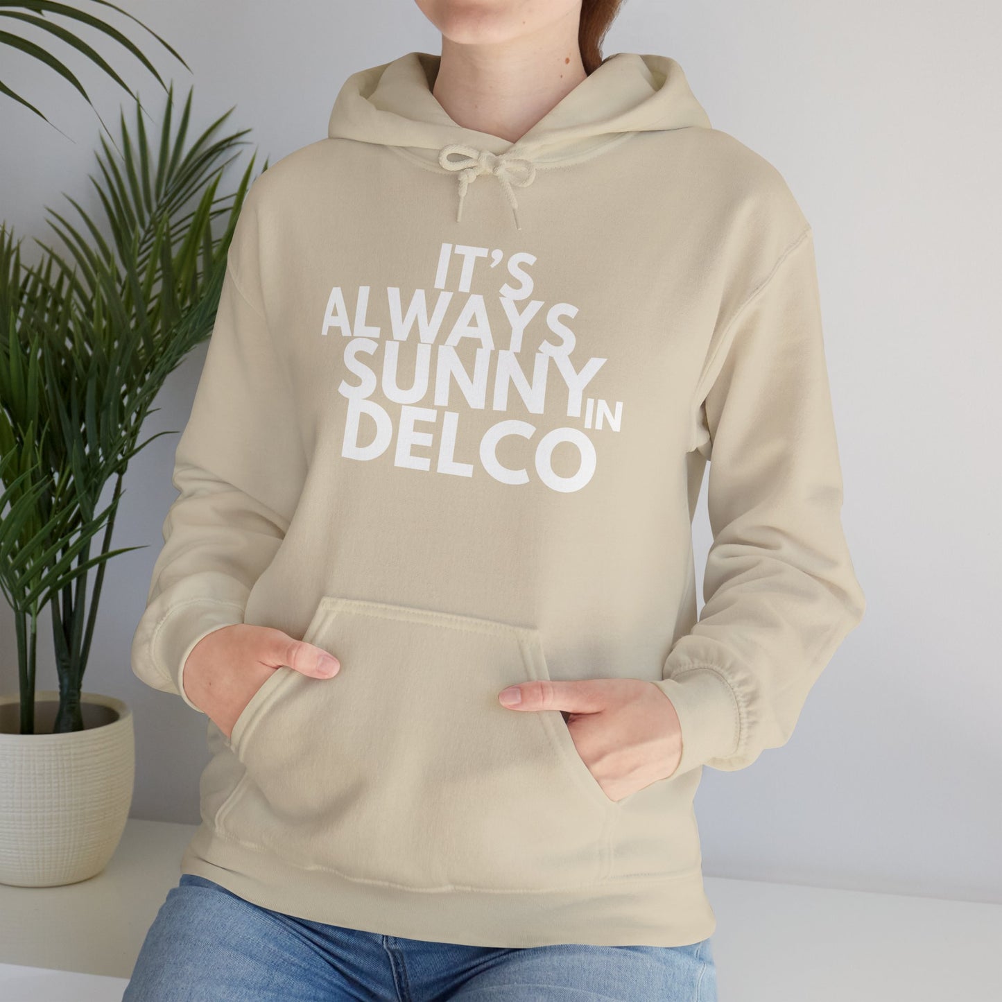 Always Sunny in Delco Hoodie