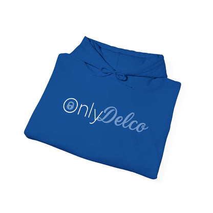 Only Delco Hoodie