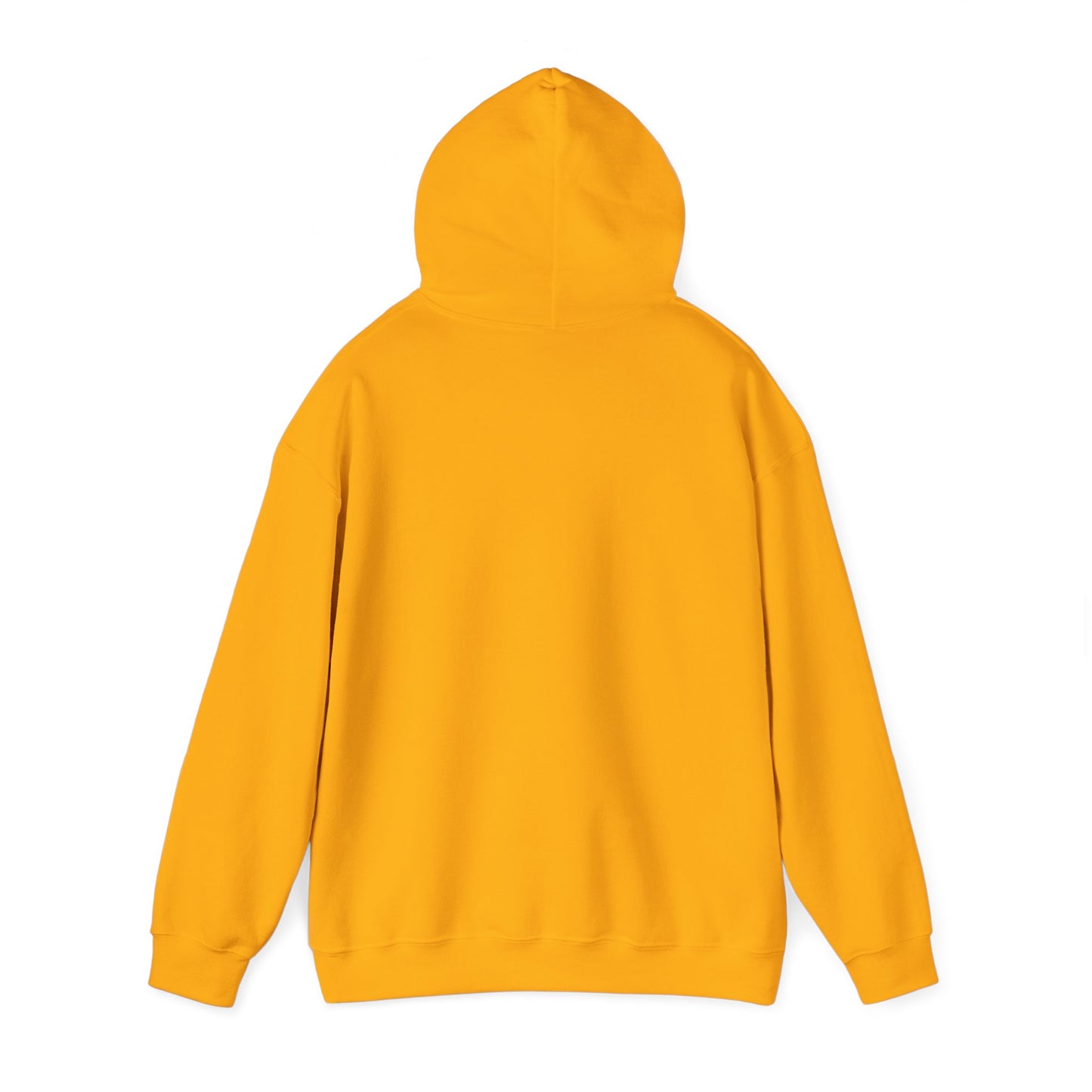 Always Sunny in Delco Hoodie