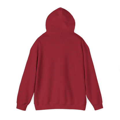 If Delco Were a Person Hoodie