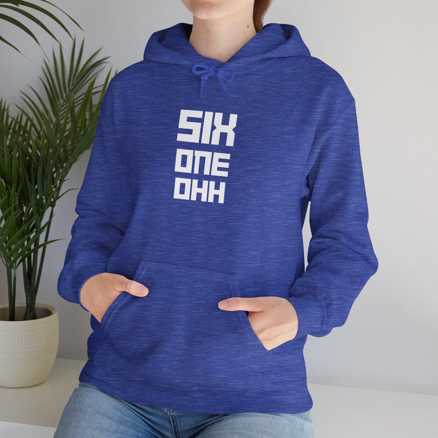 Six One Ohh Delco Hoodie