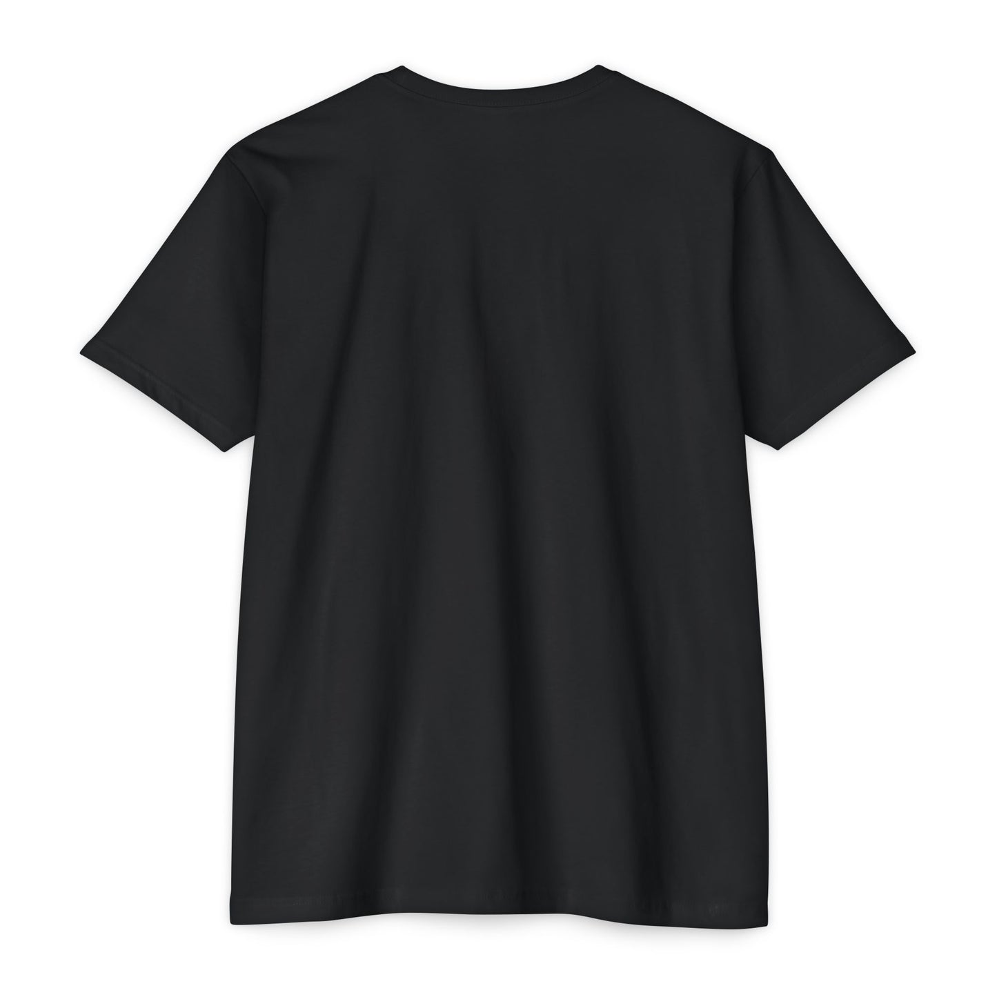 St Patty's Day CVC T-shirt