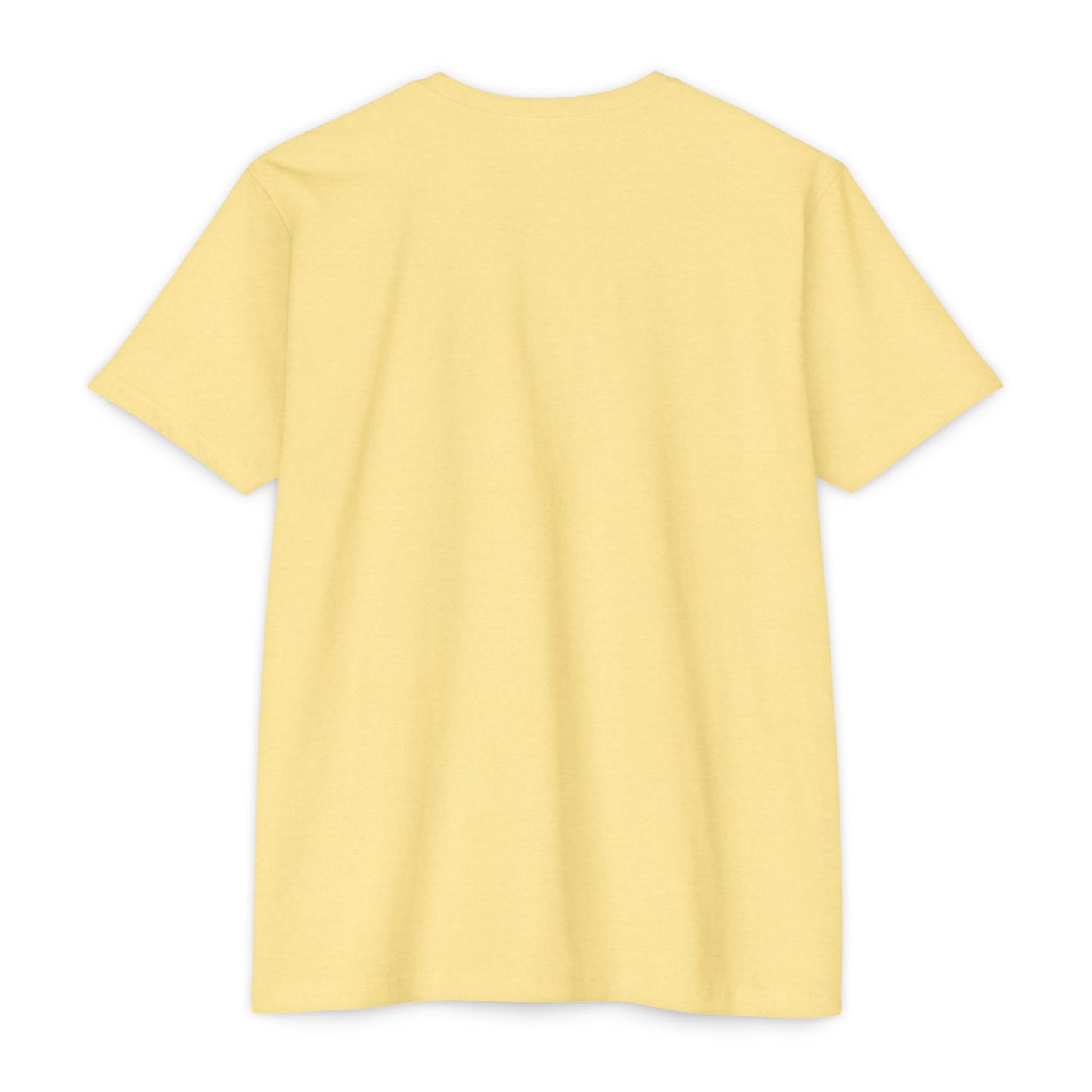 Evolution of a Delco Kid DAD CVC T-shirt