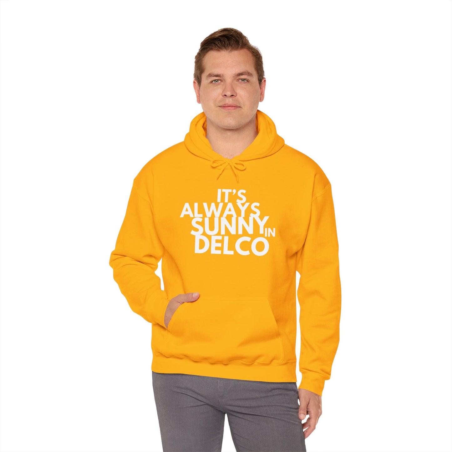 Always Sunny in Delco Hoodie