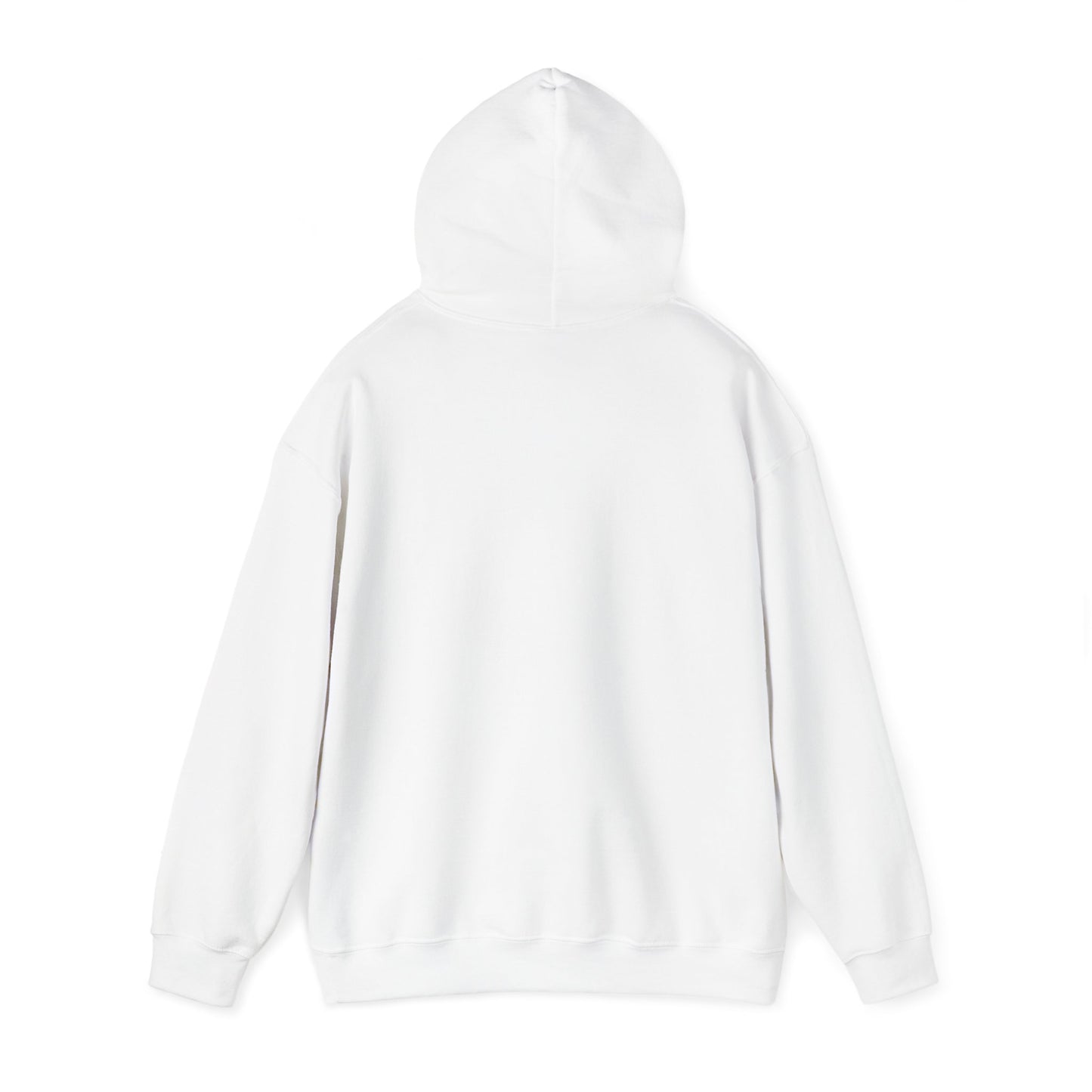 AJ Delco Hoodie