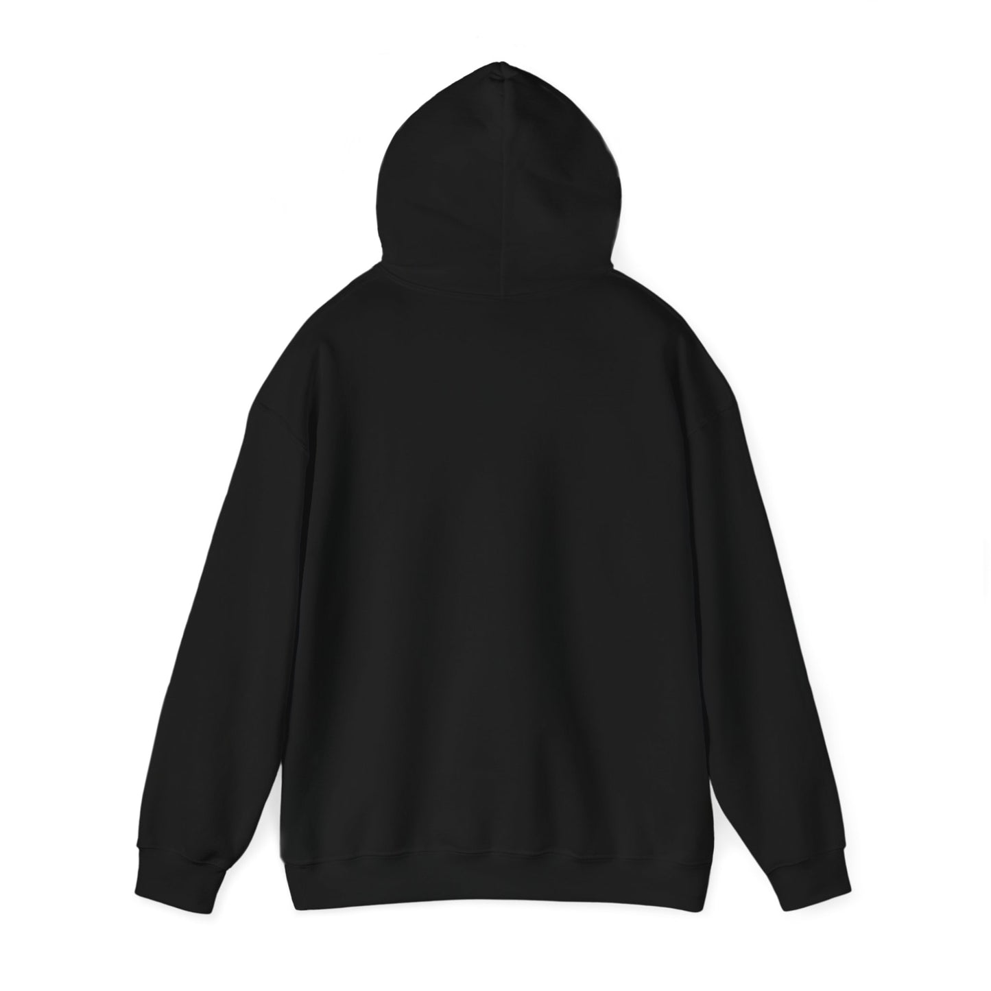 Slinky Delco Hoodie