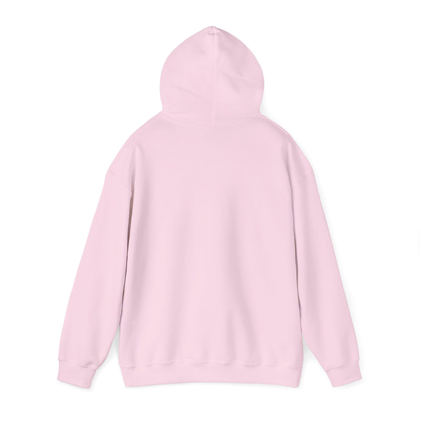 Thats what she said Delco Hoodie
