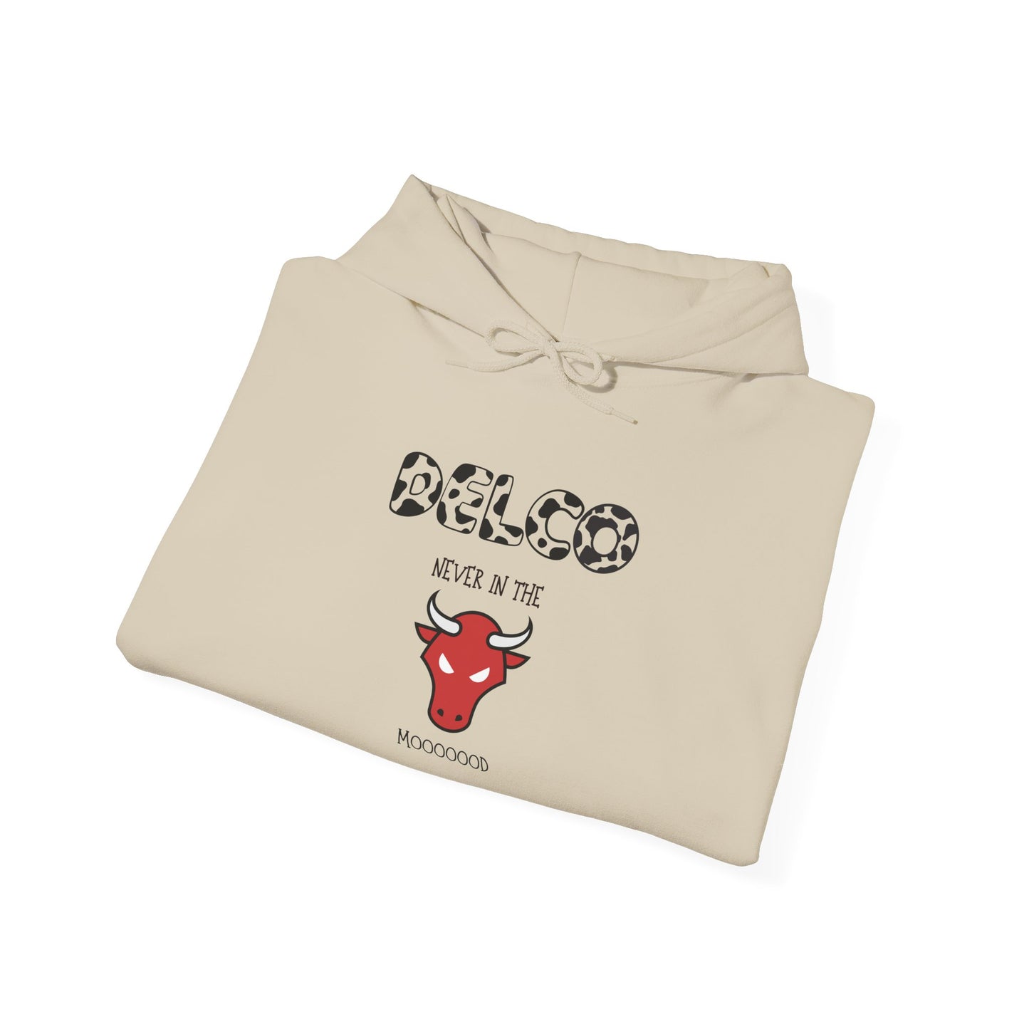 Never in the Mood Delco Hoodie