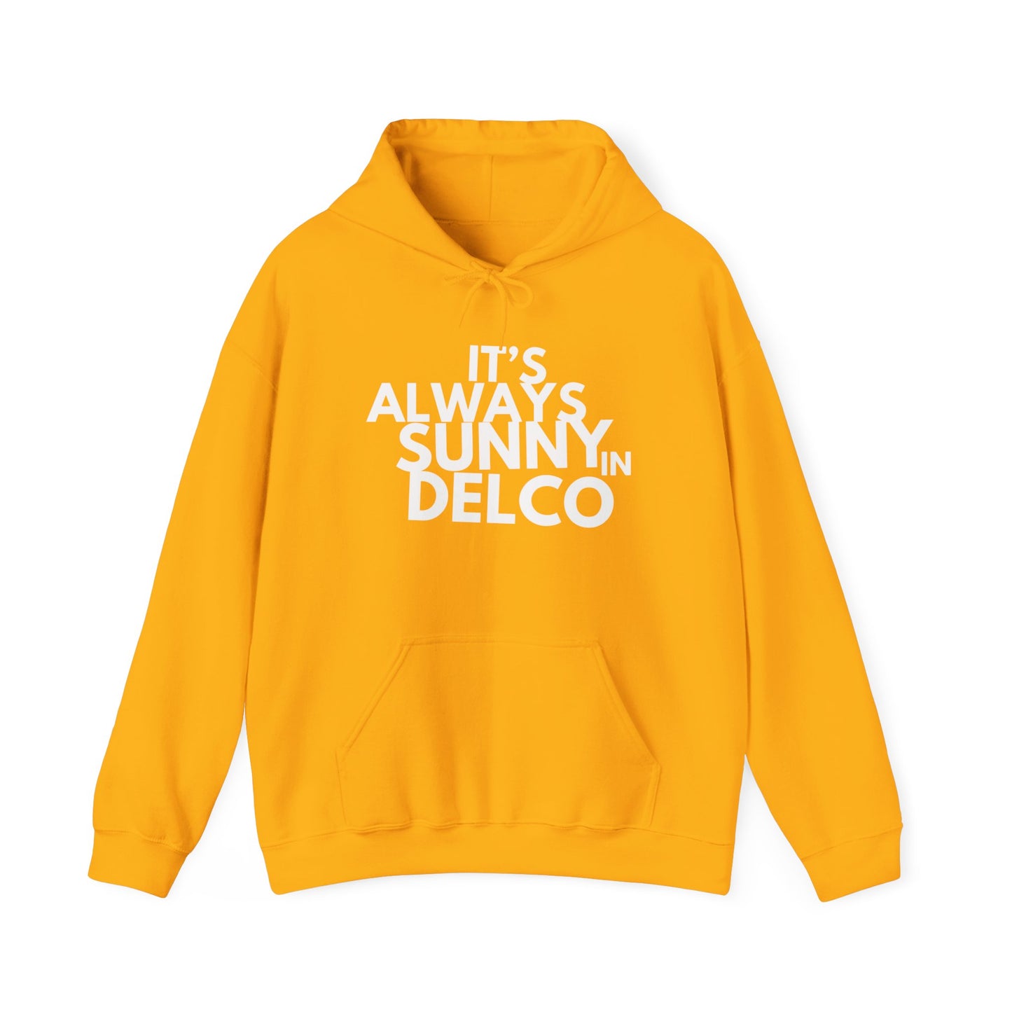 Always Sunny in Delco Hoodie