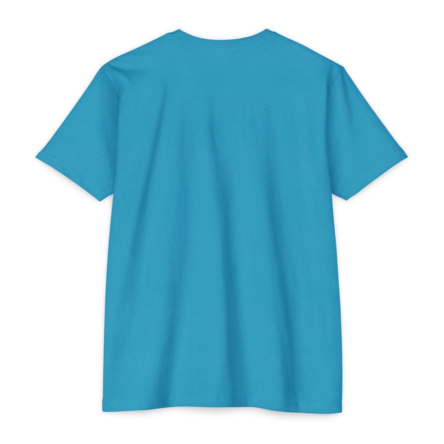 Evolution of a Delco Kid MOM CVC T-shirt