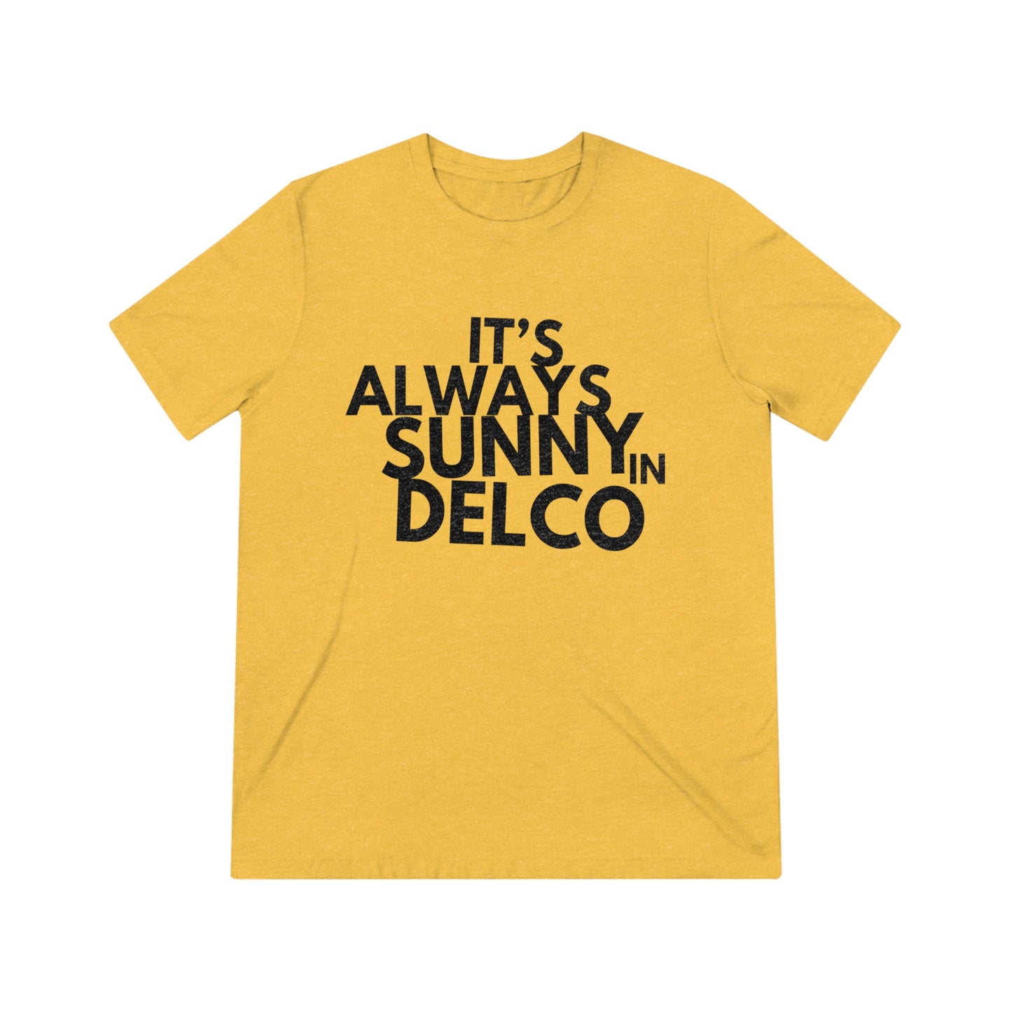Its Always Sunny in Delco TShirt