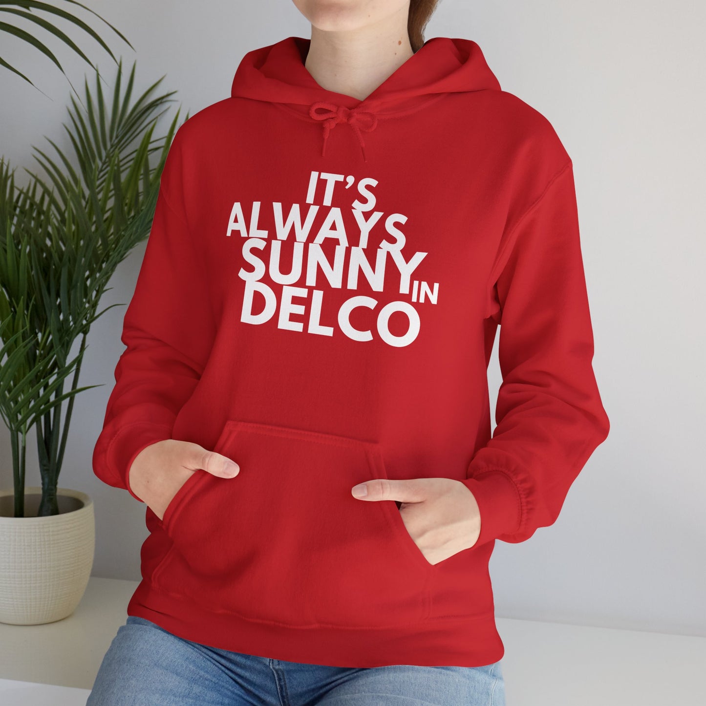 Always Sunny in Delco Hoodie